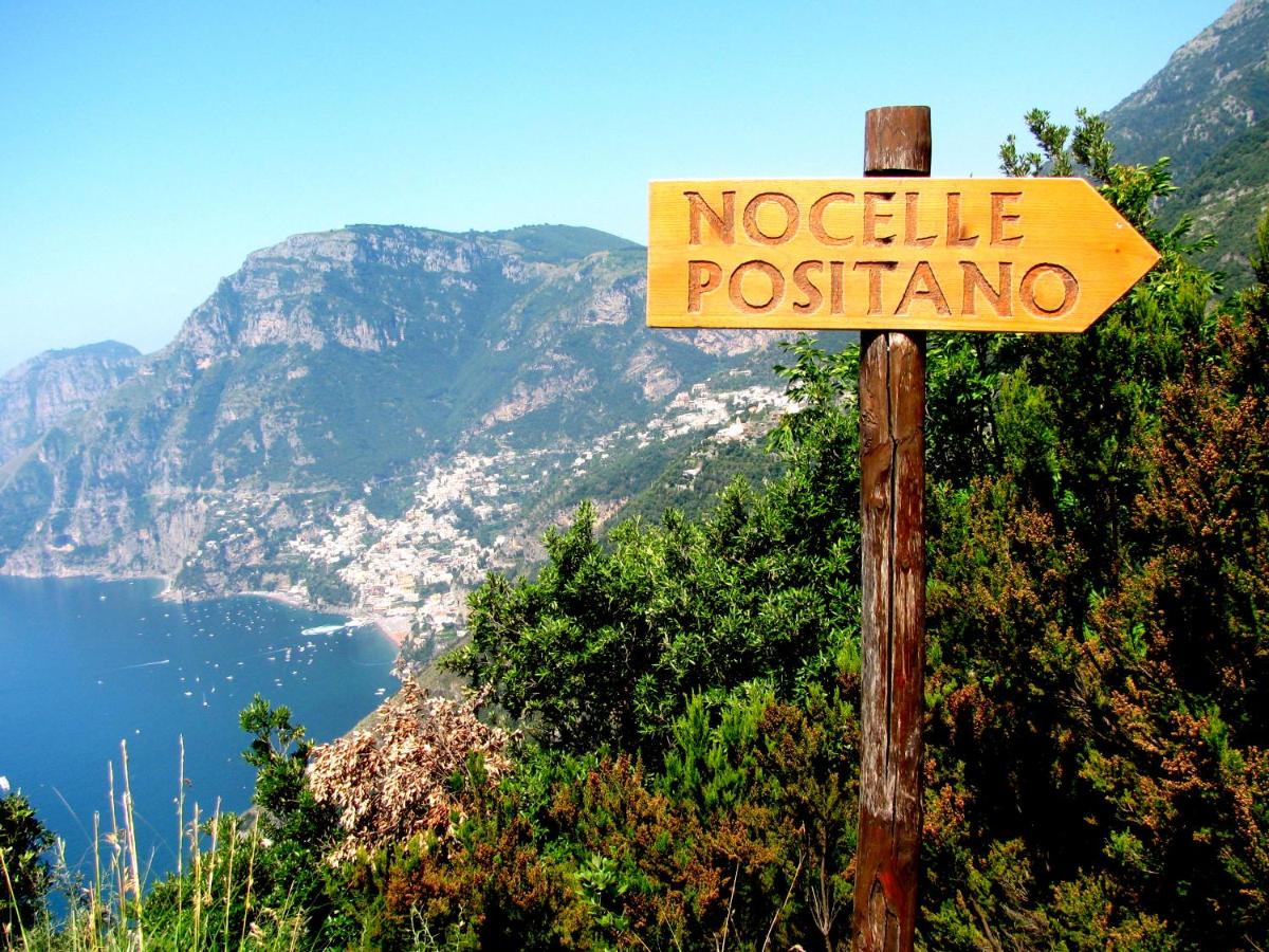Agriturismo il Pettirosso