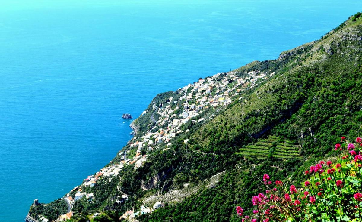 Agriturismo il Pettirosso