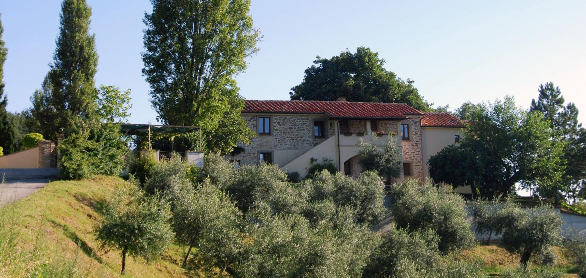 Casale degli ulivi view 5