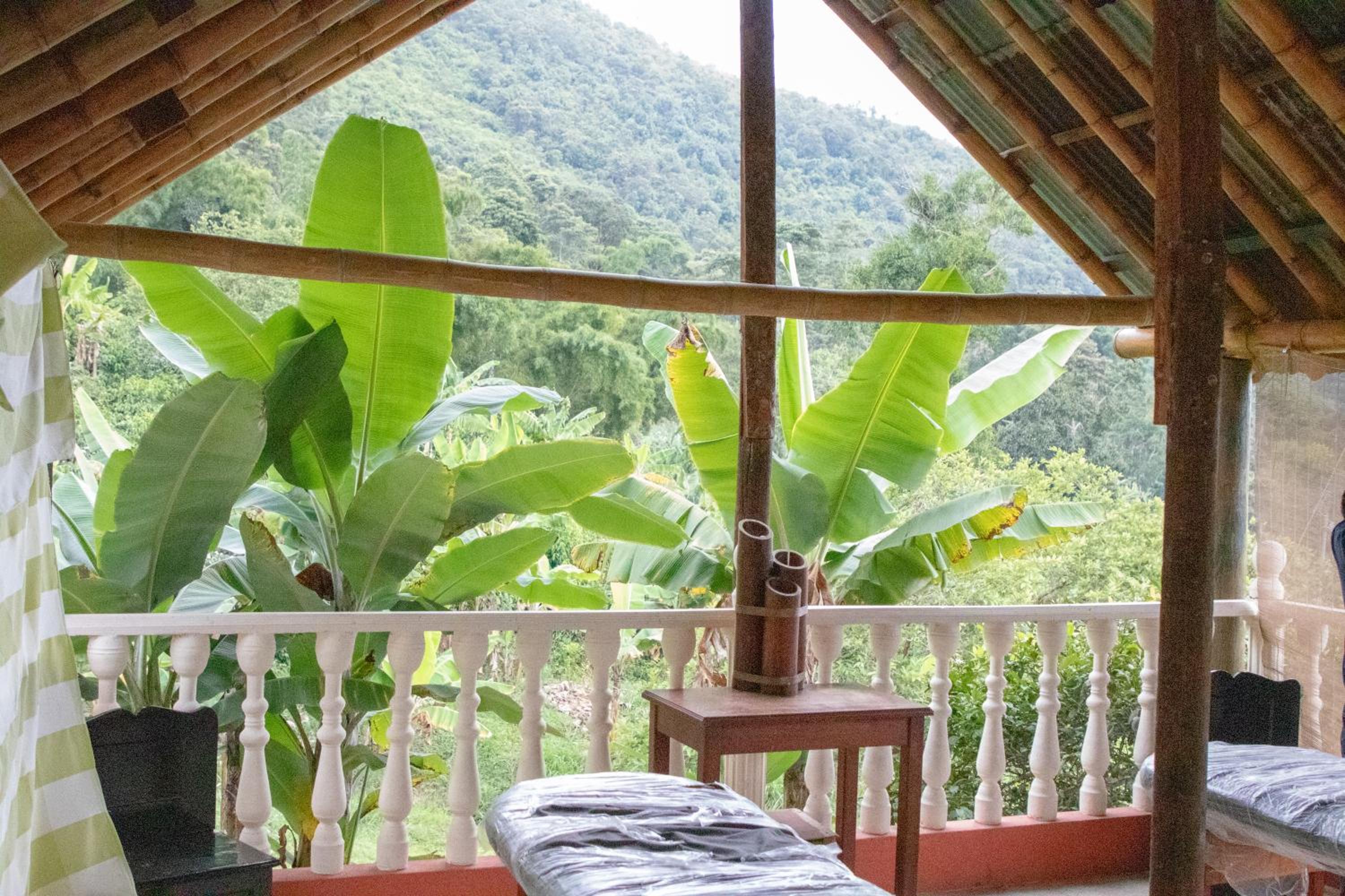 Las Mercedes Finca Cafetera