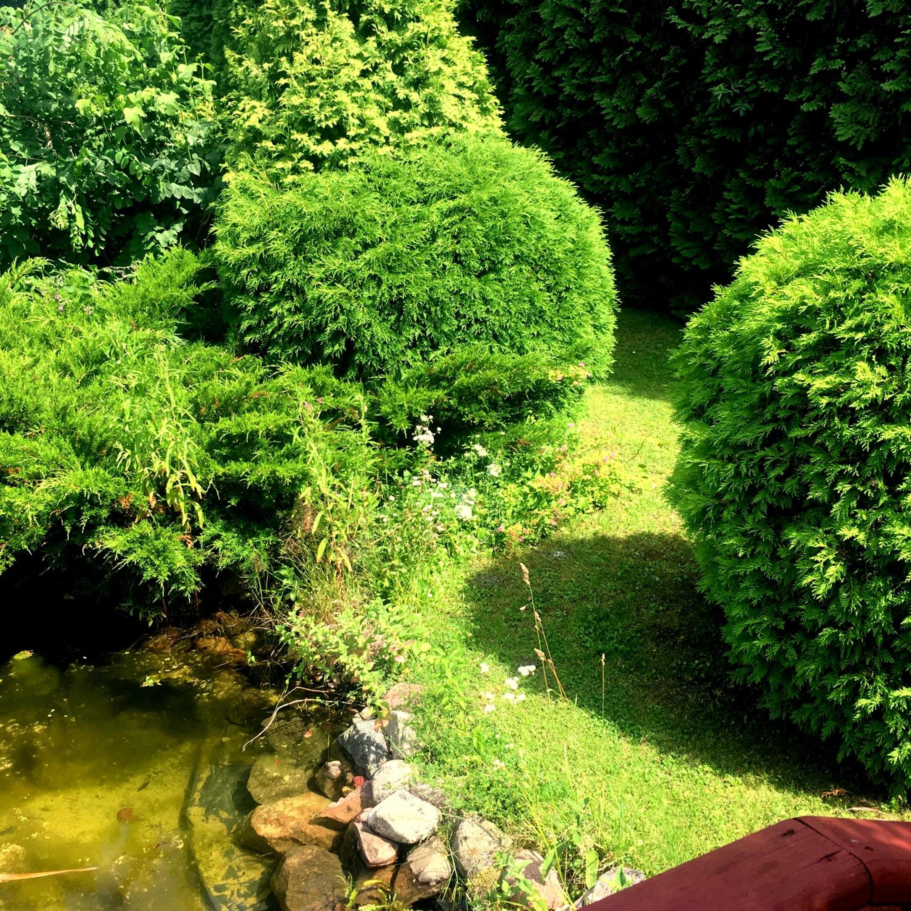 Photo 9