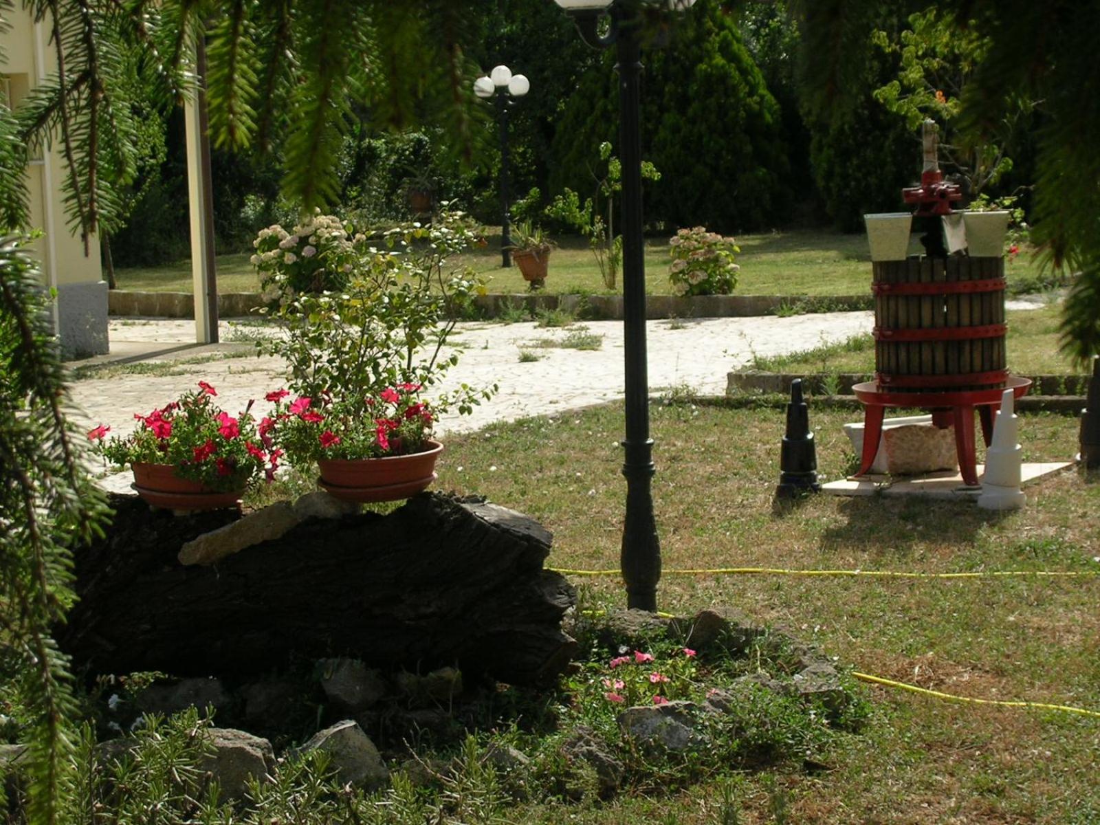 Photo 17