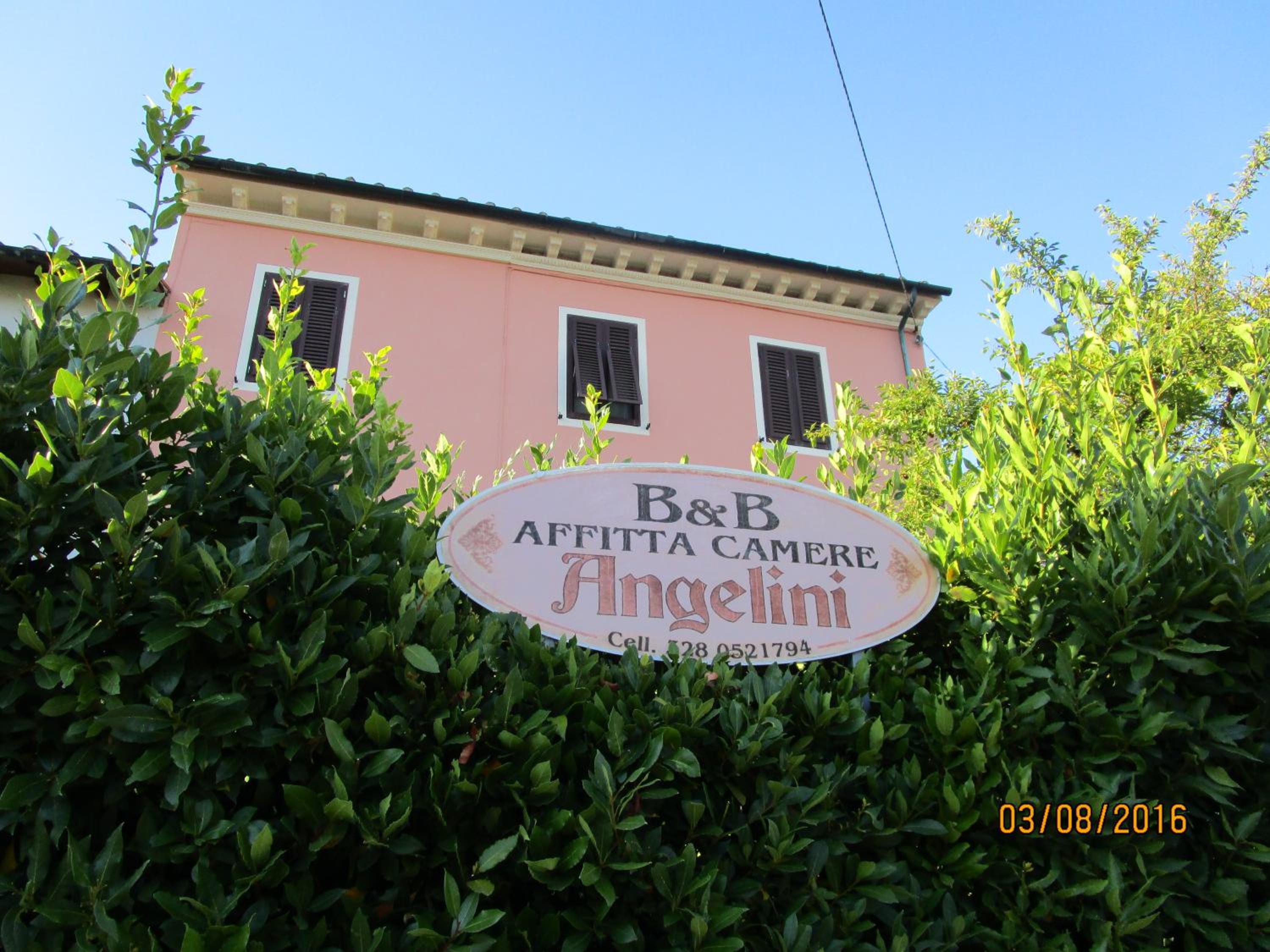 Angelini dal 1911