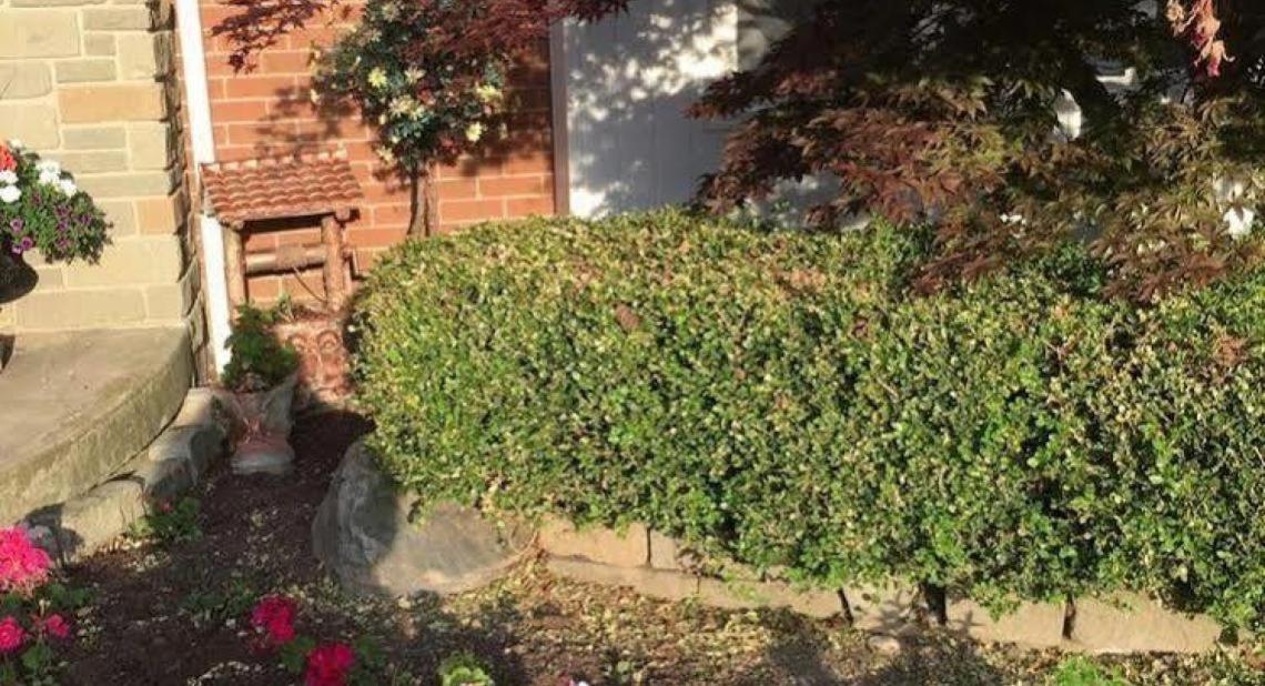 Cobblestone Bed and Breakfast - Property Image 8