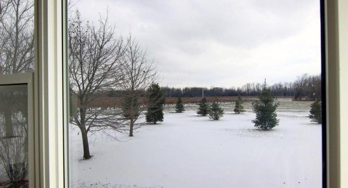 Cobblestone Bed and Breakfast - Property Image 11