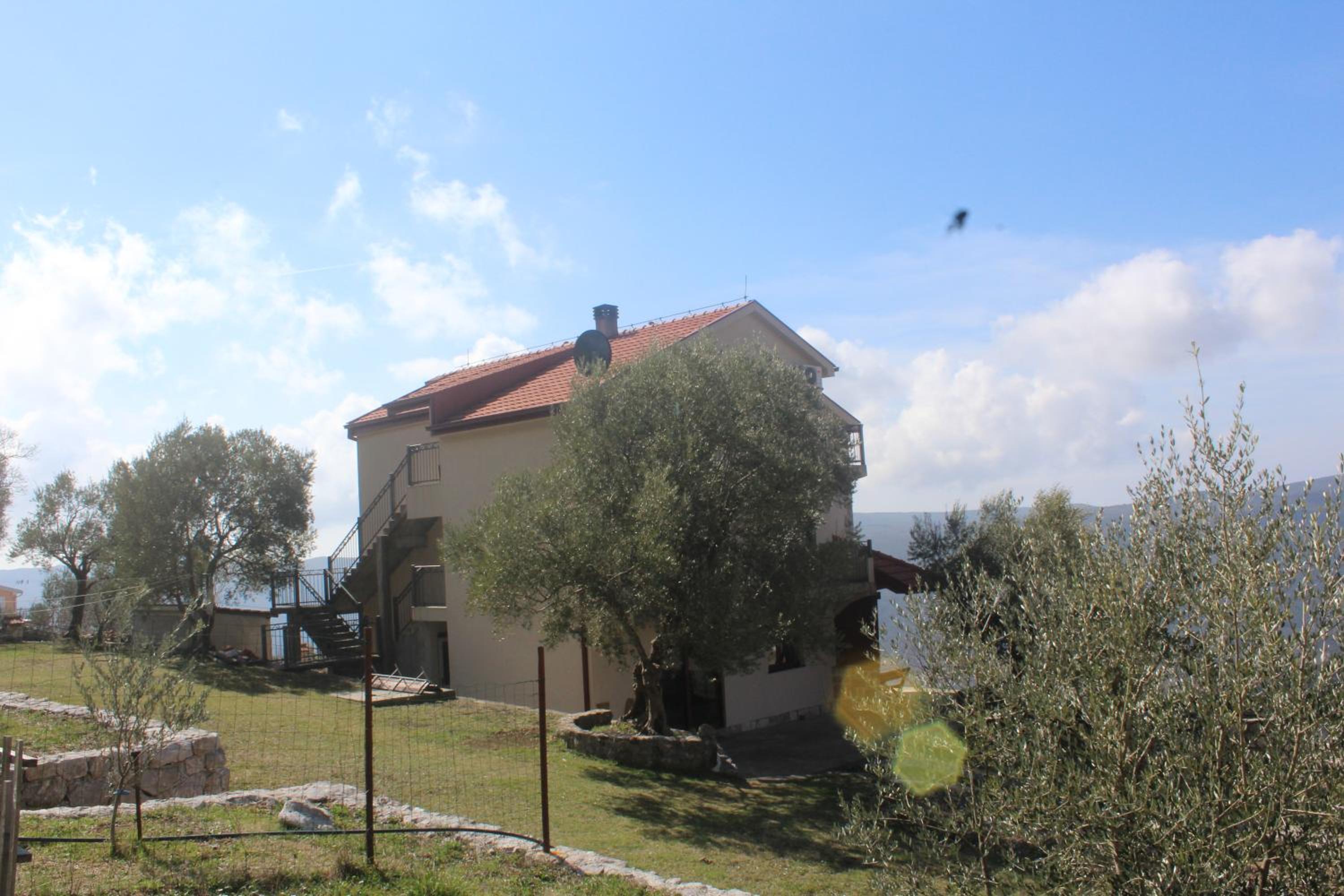 Photo 31