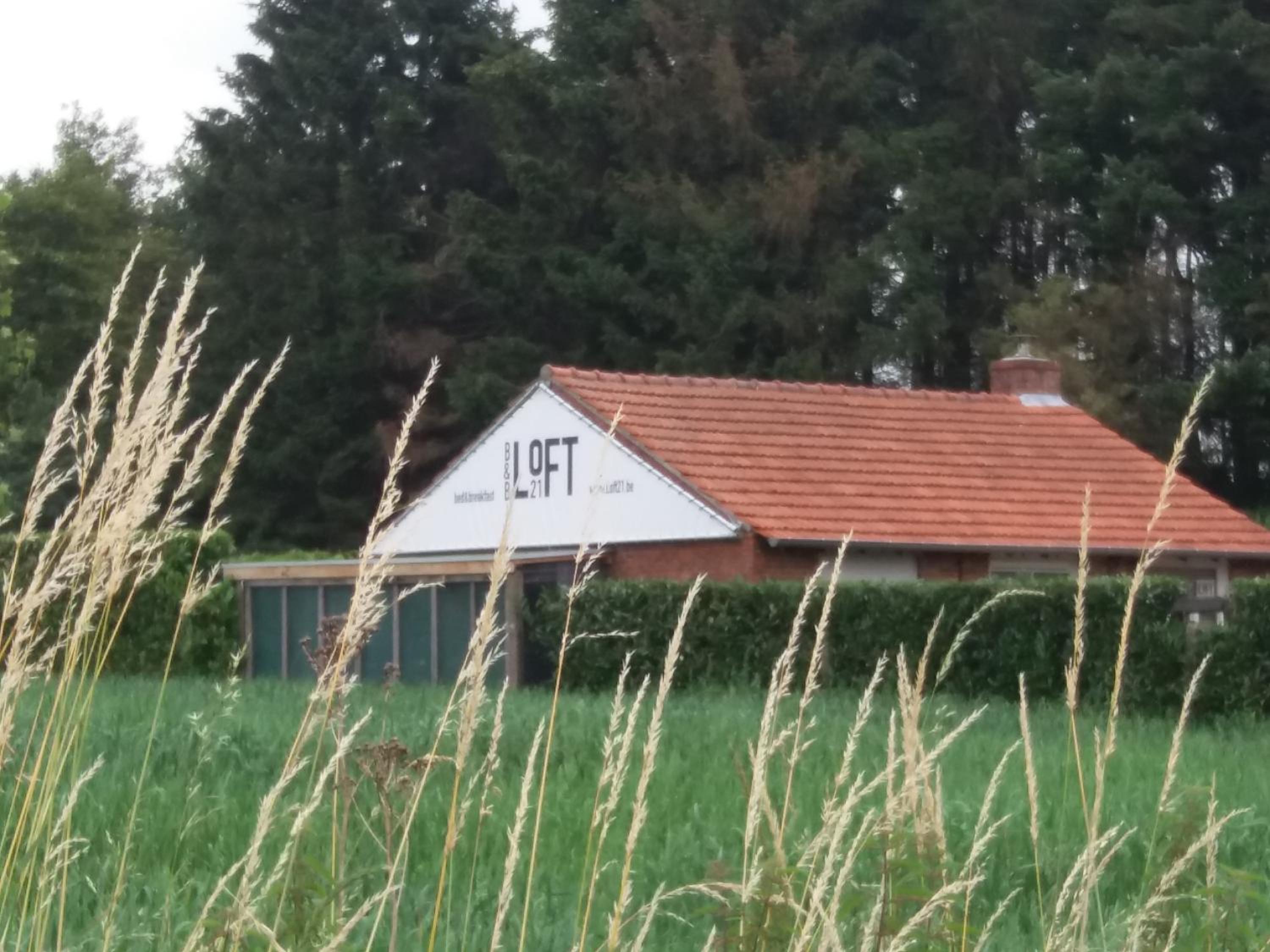 B&B LoFt 21