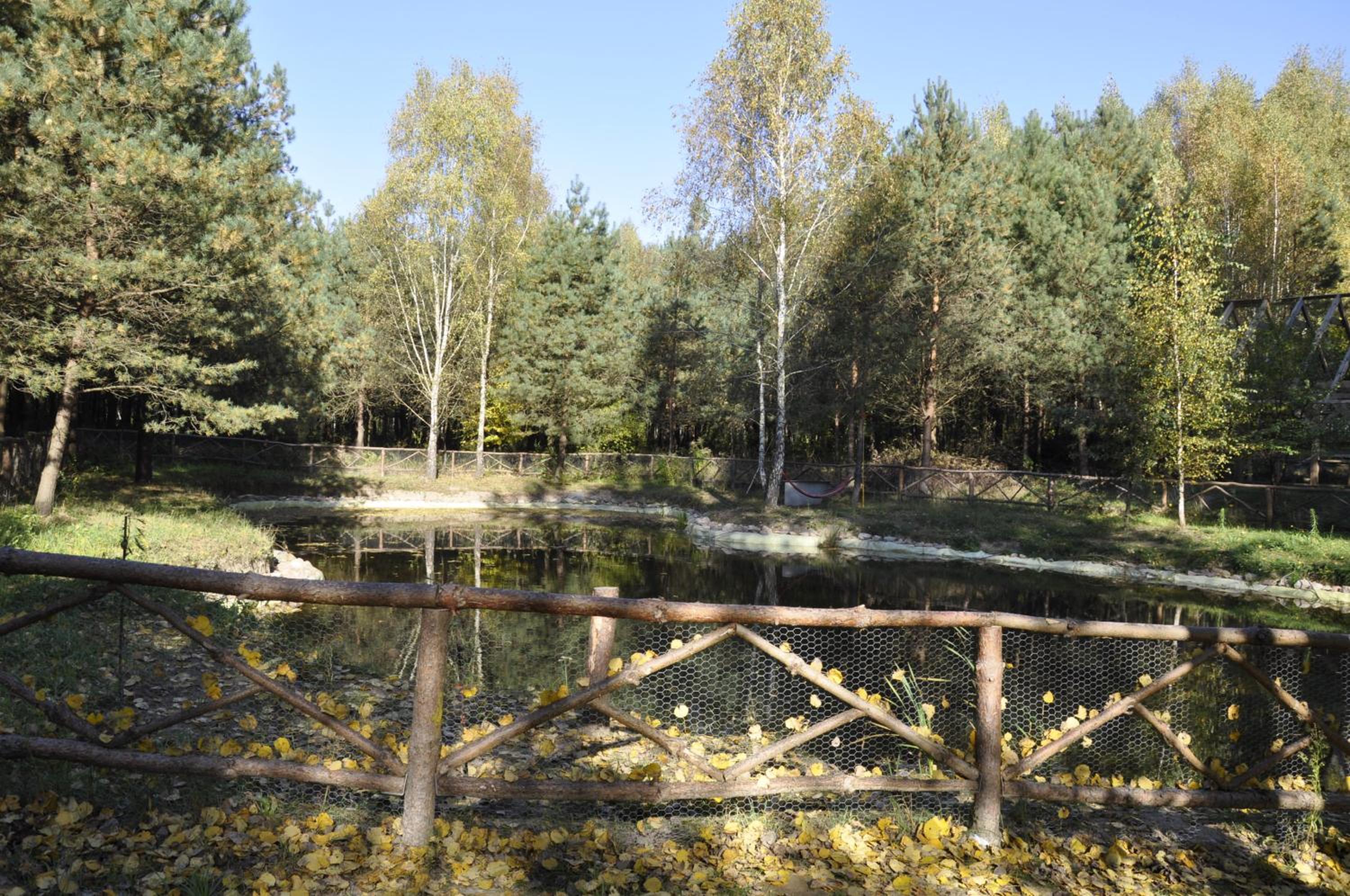 Photo 11