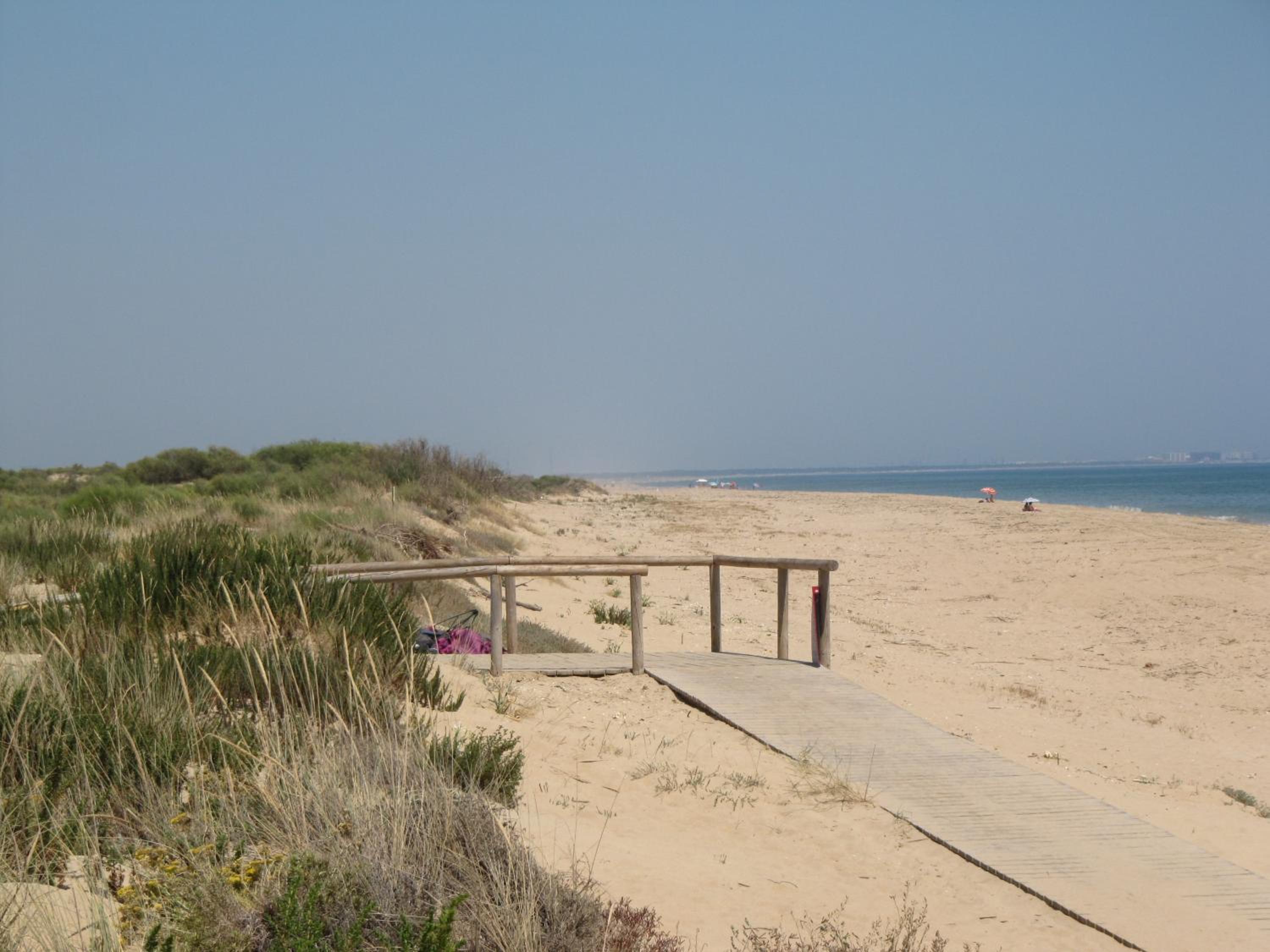 Photo 42