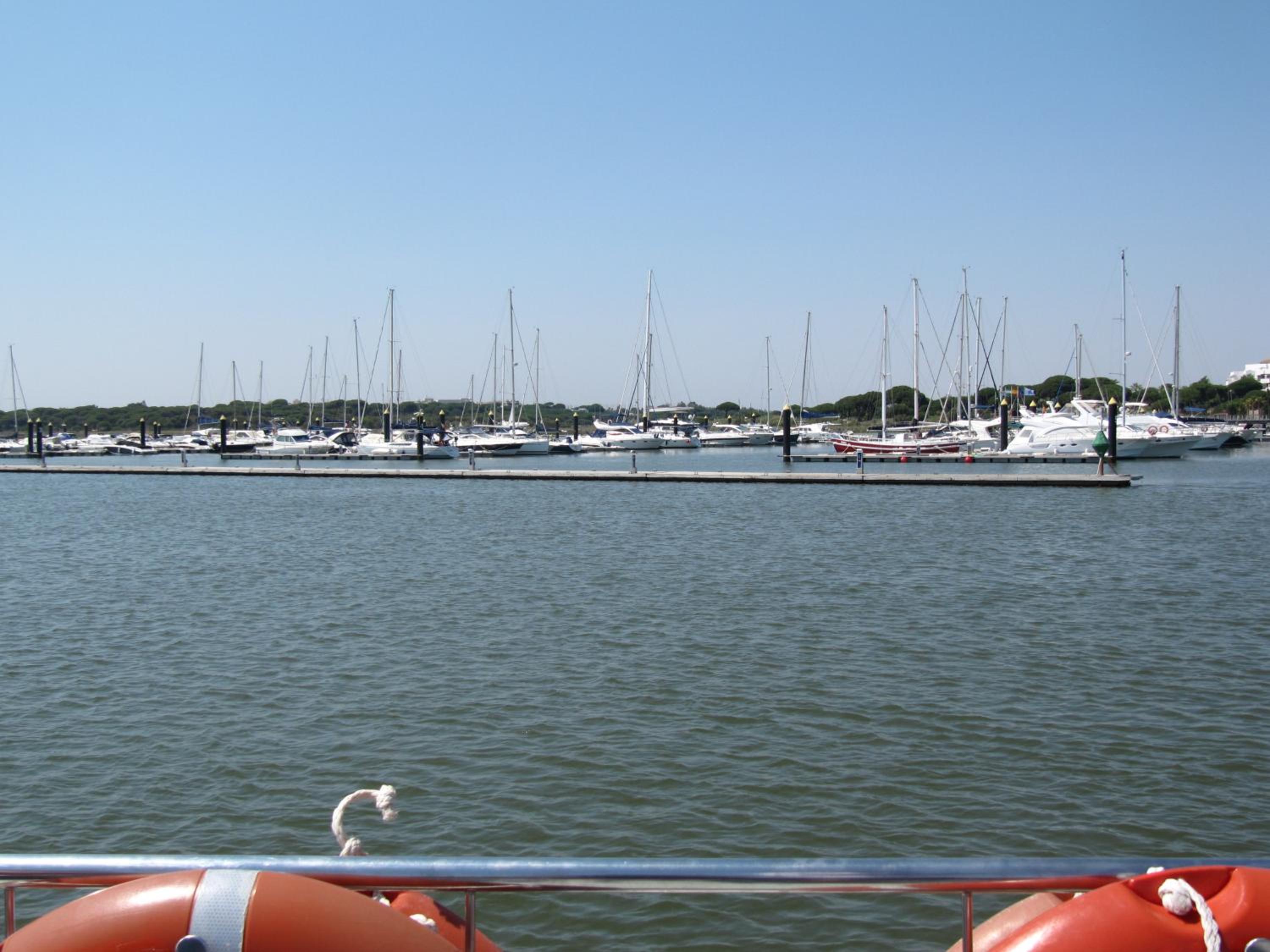 Photo 40