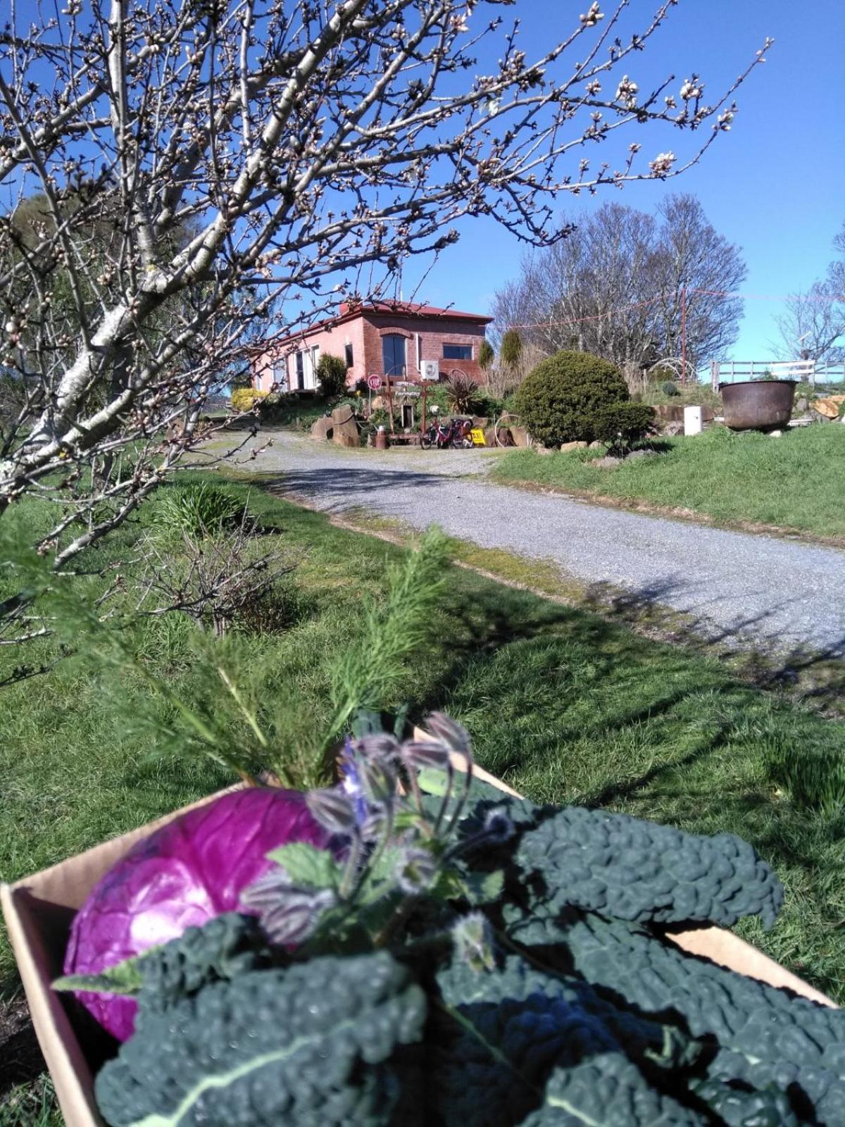 Cherry Top Farmstay - Boutique Eco Village