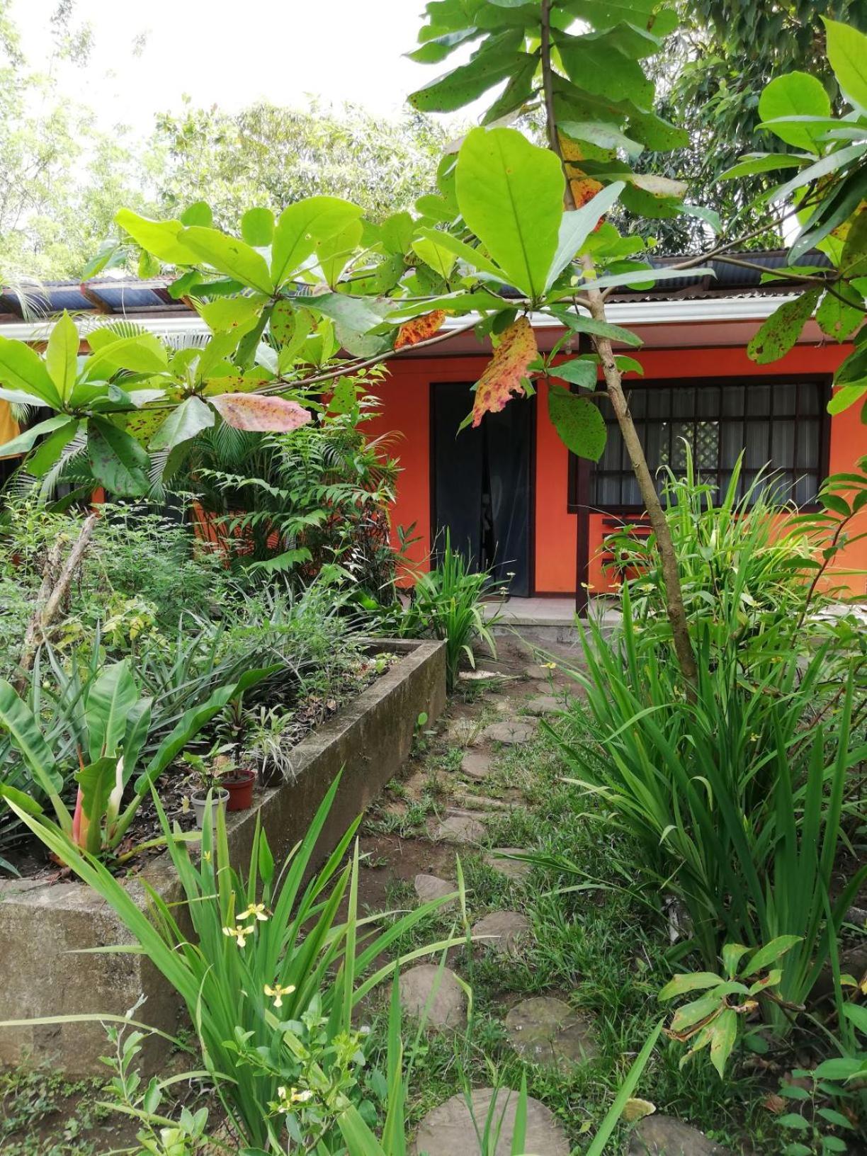 Photo 51