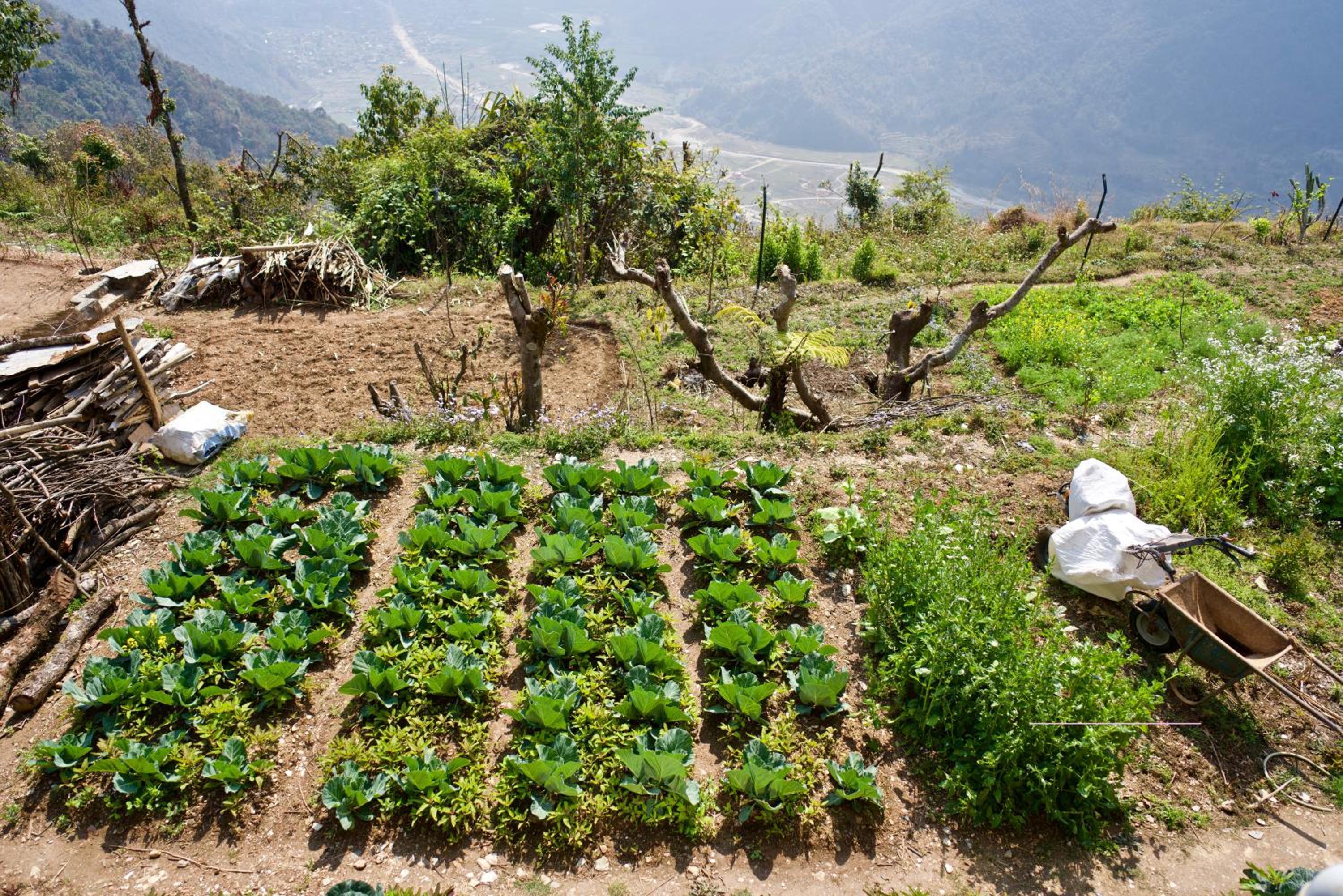 Photo 15