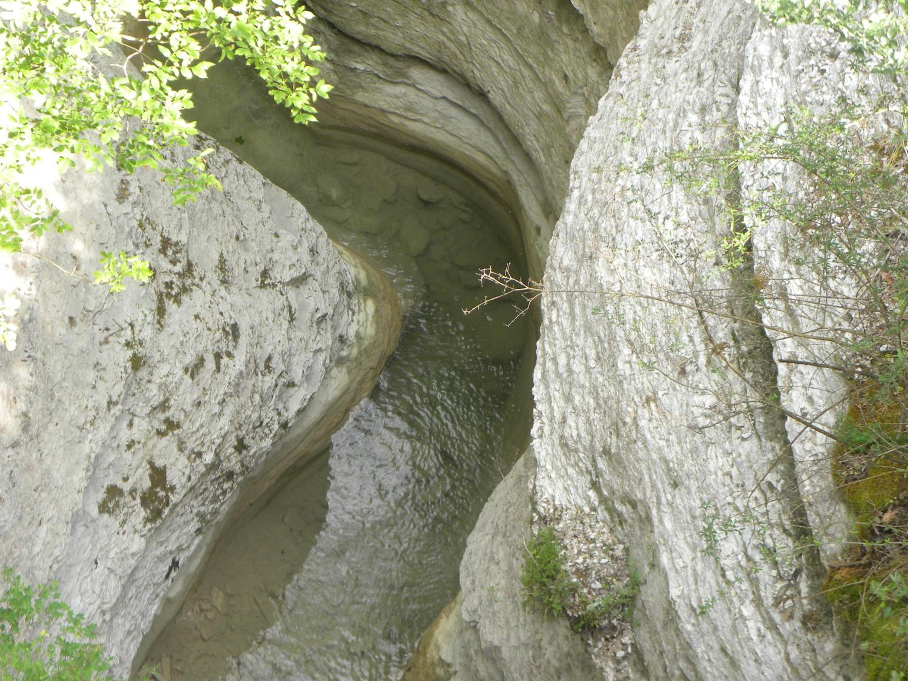 Photo 33