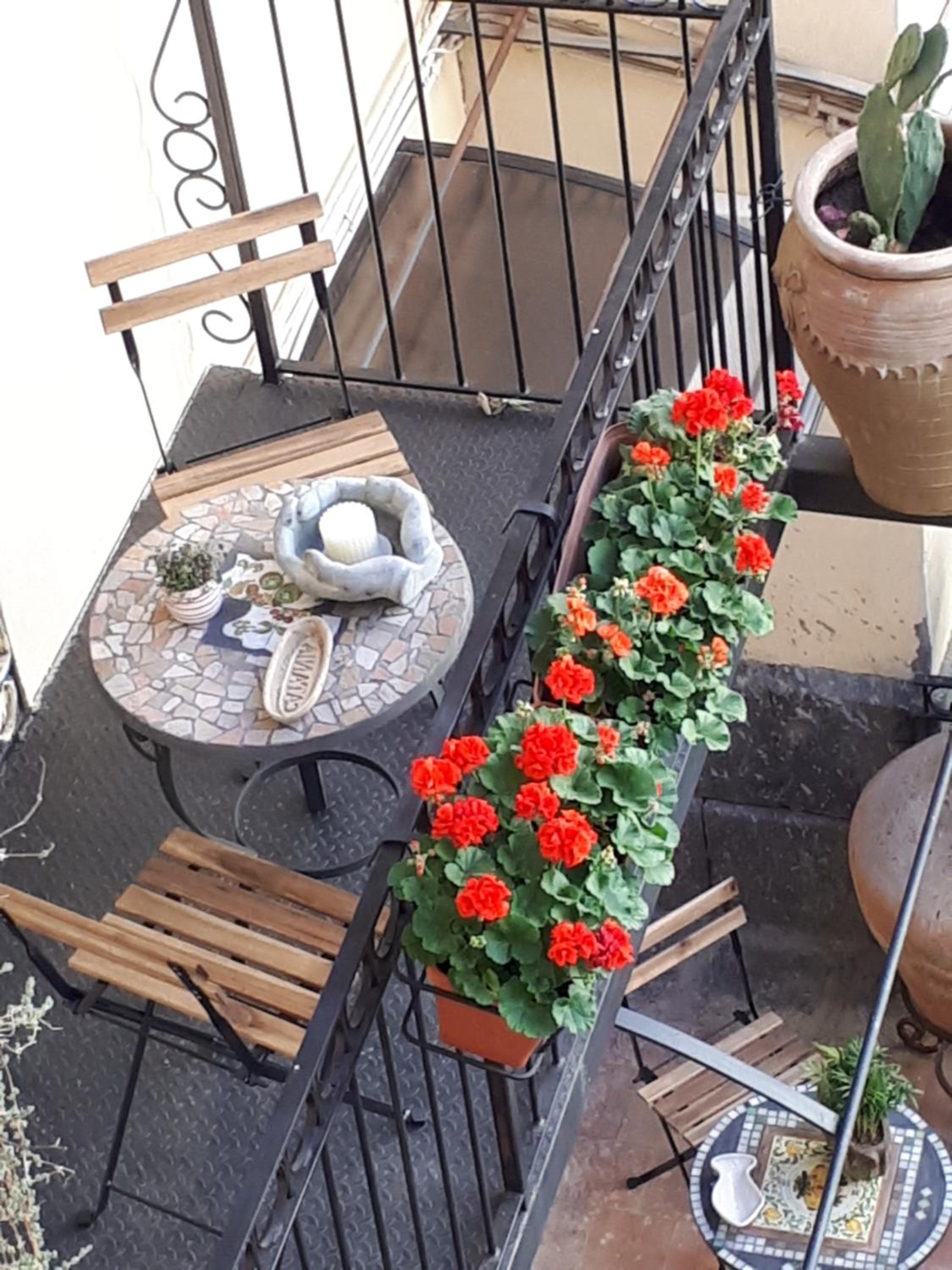 MAMARICO' APARTAMENT view 3