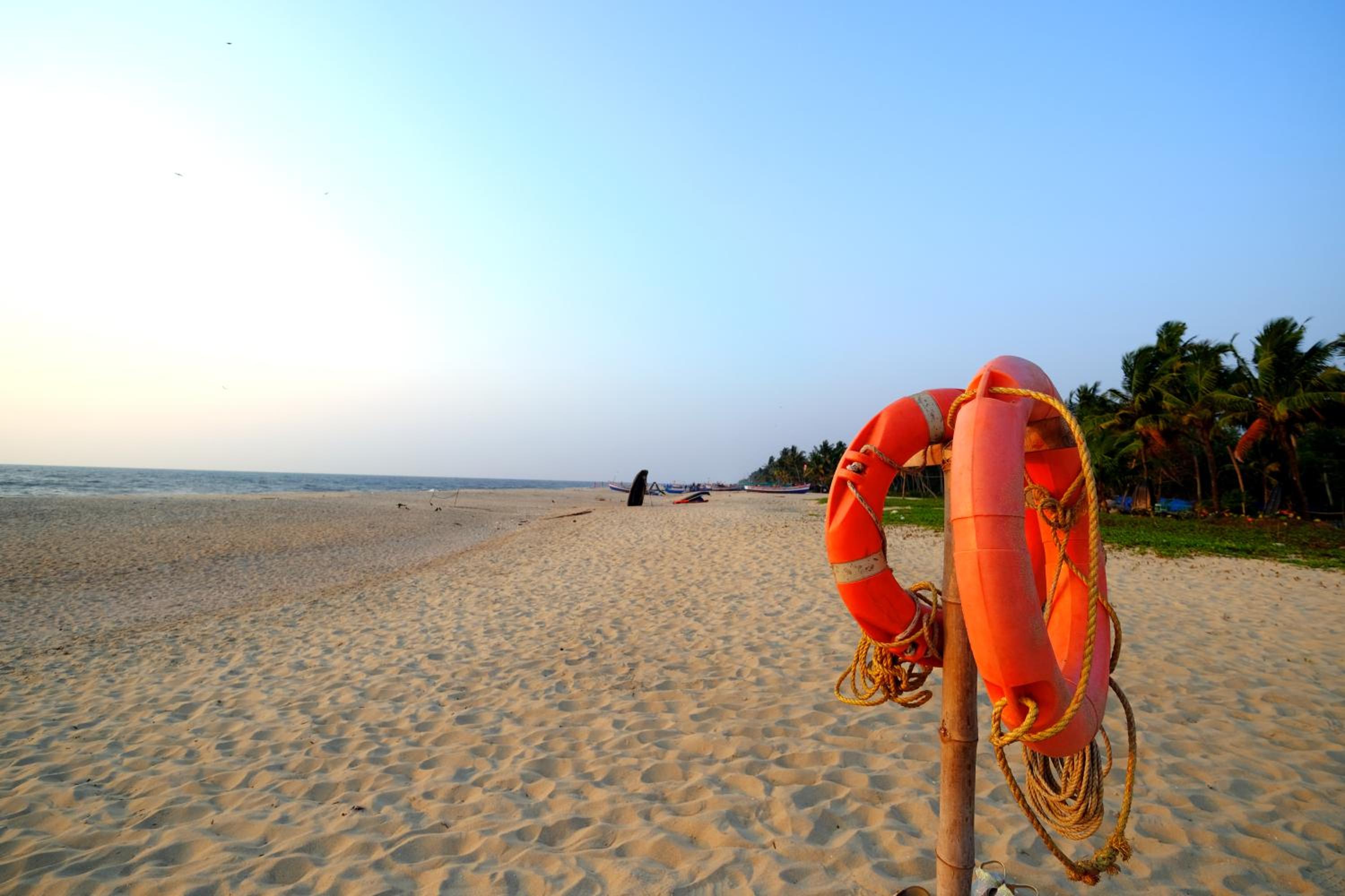 Marari Lotus Beach Villa view 4