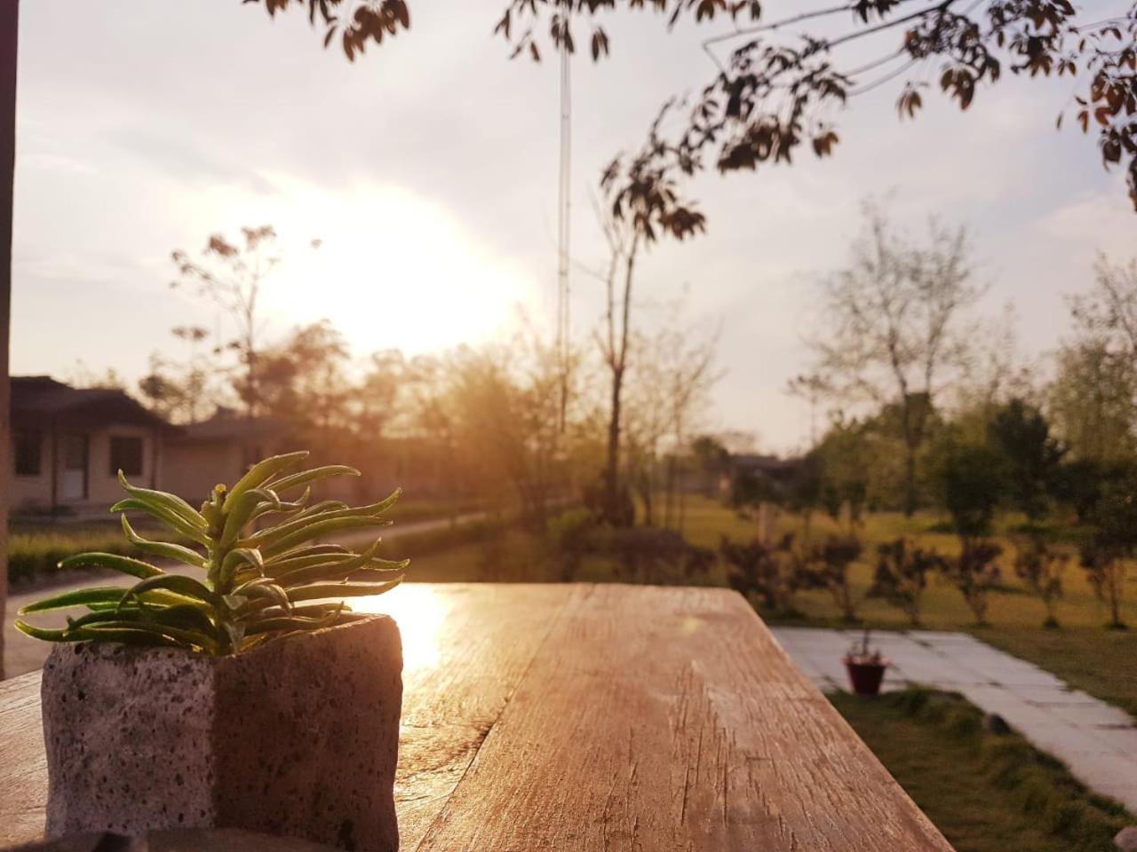 Nana Jungle Resort Near Chitwan National Park