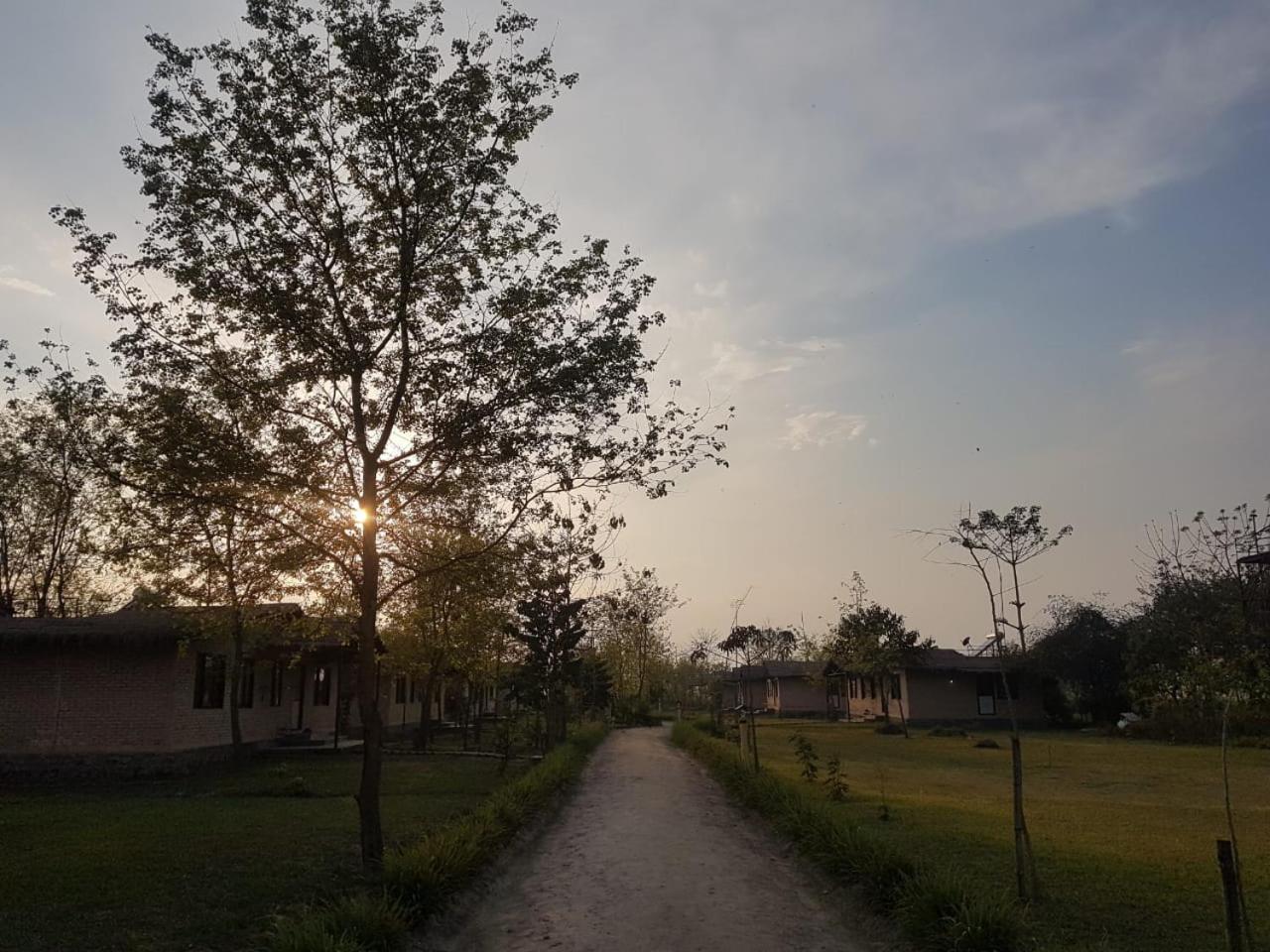 Nana Jungle Resort Near Chitwan National Park