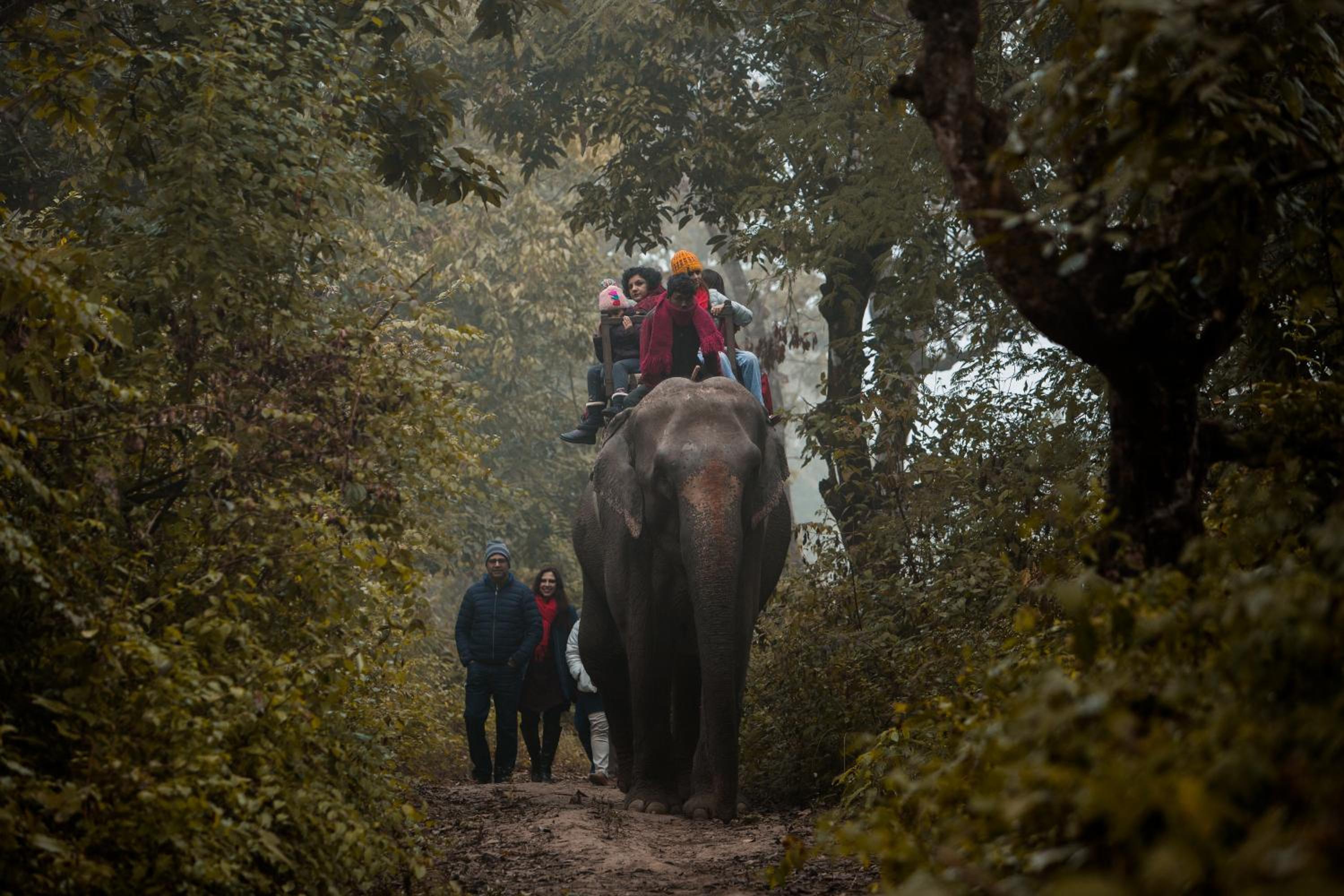 Nana Jungle Resort Near Chitwan National Park