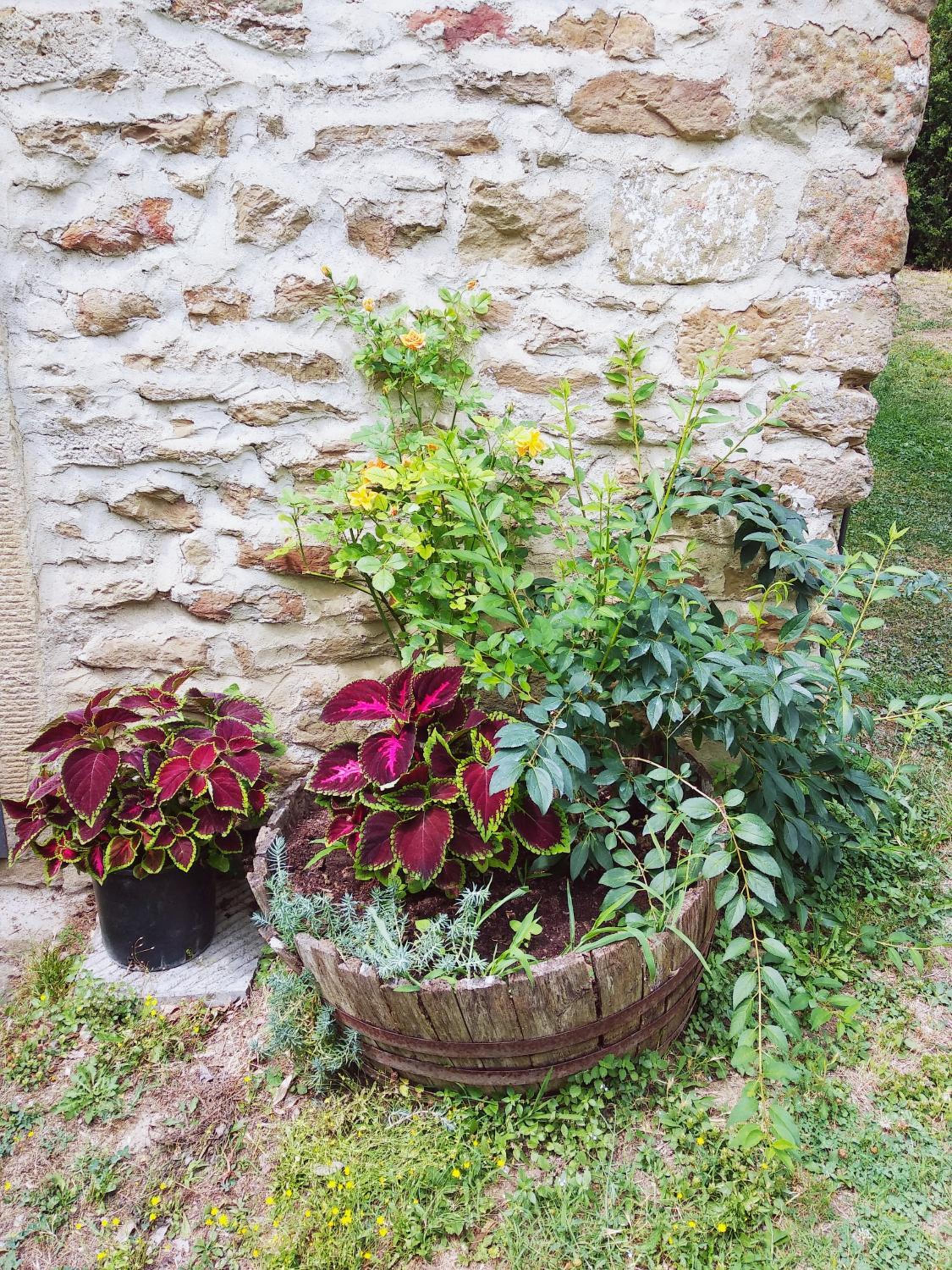 Photo 21