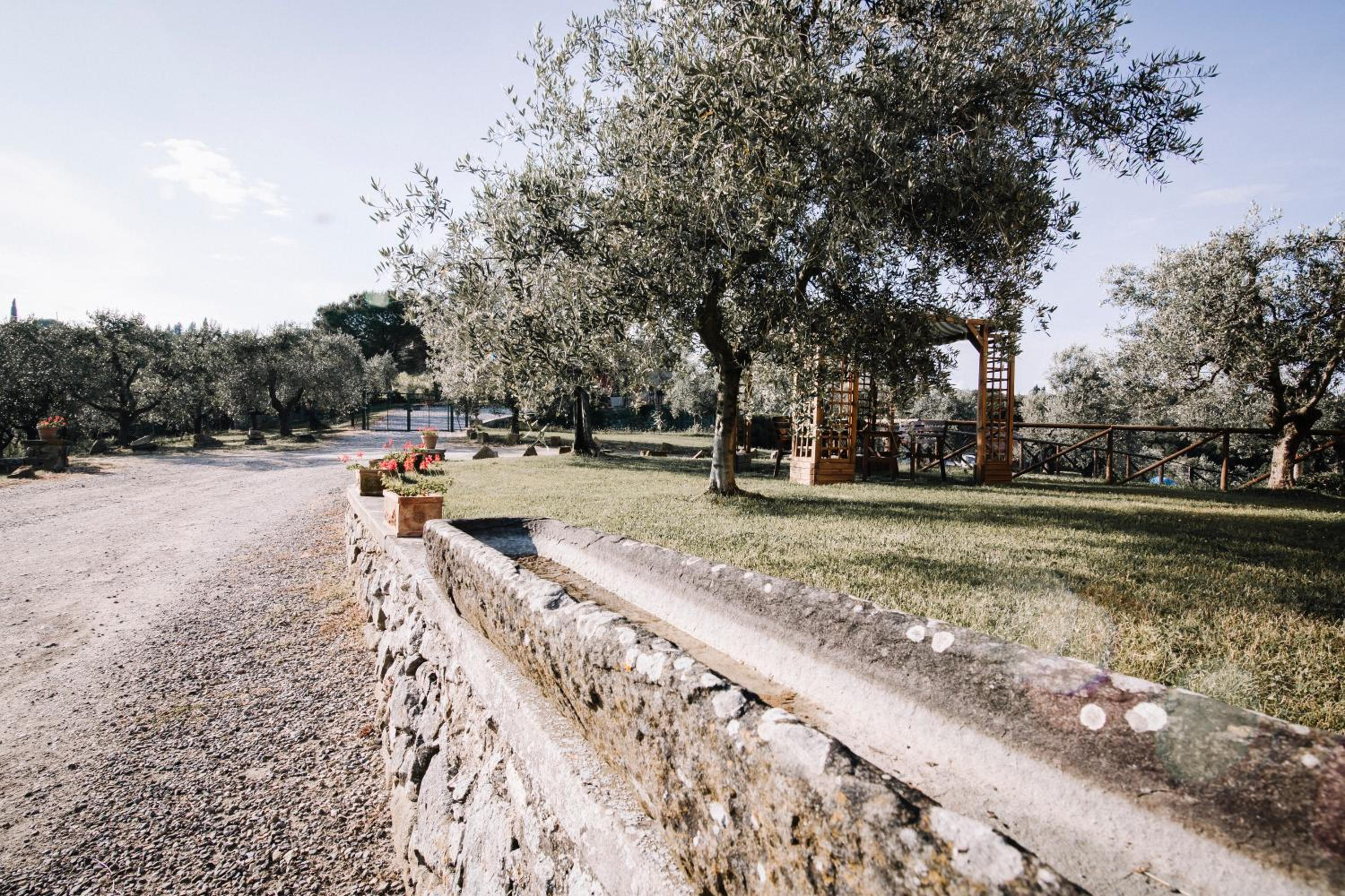 Agriturismo Il Pintello