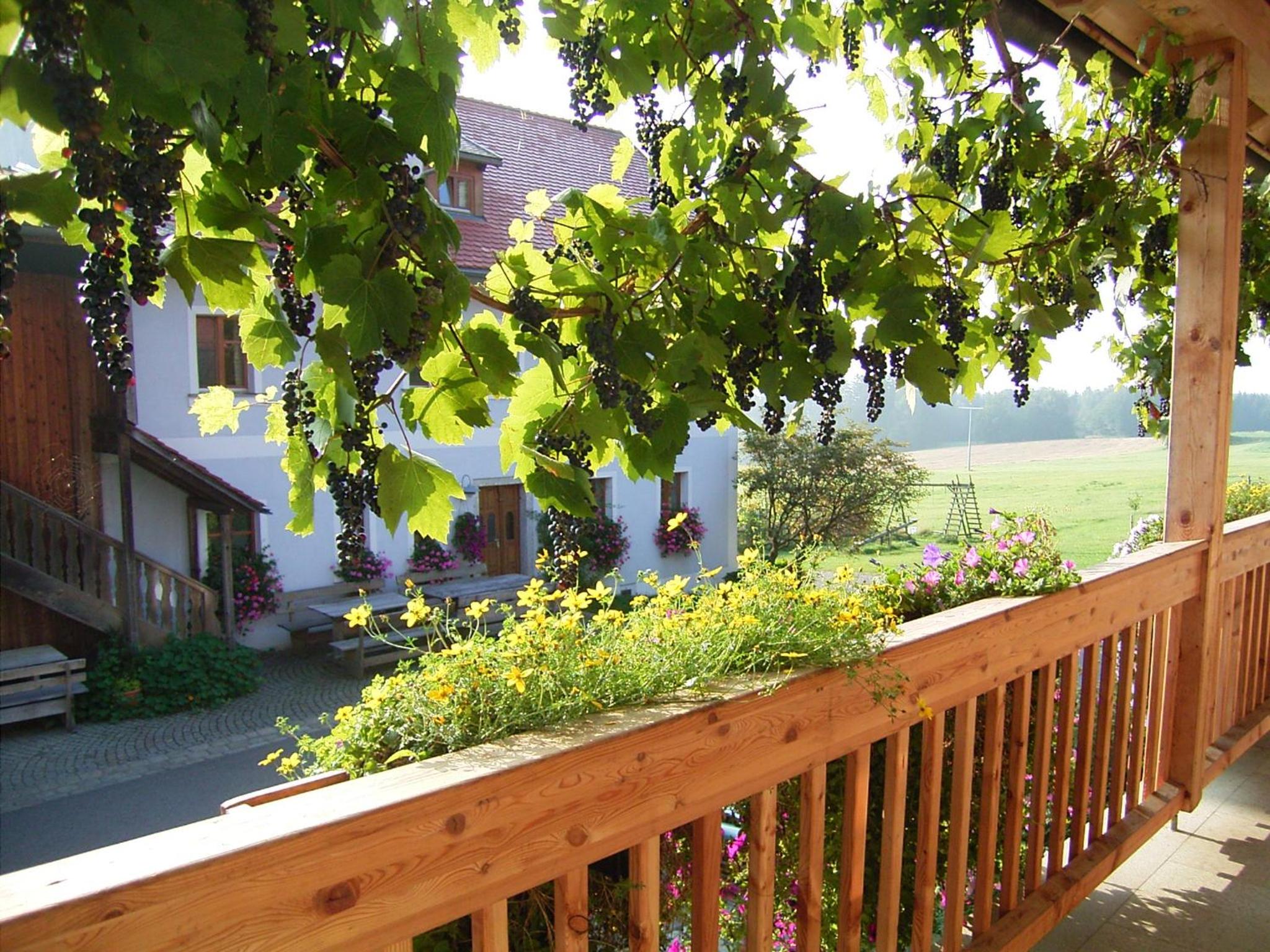Hanauerhof view 2
