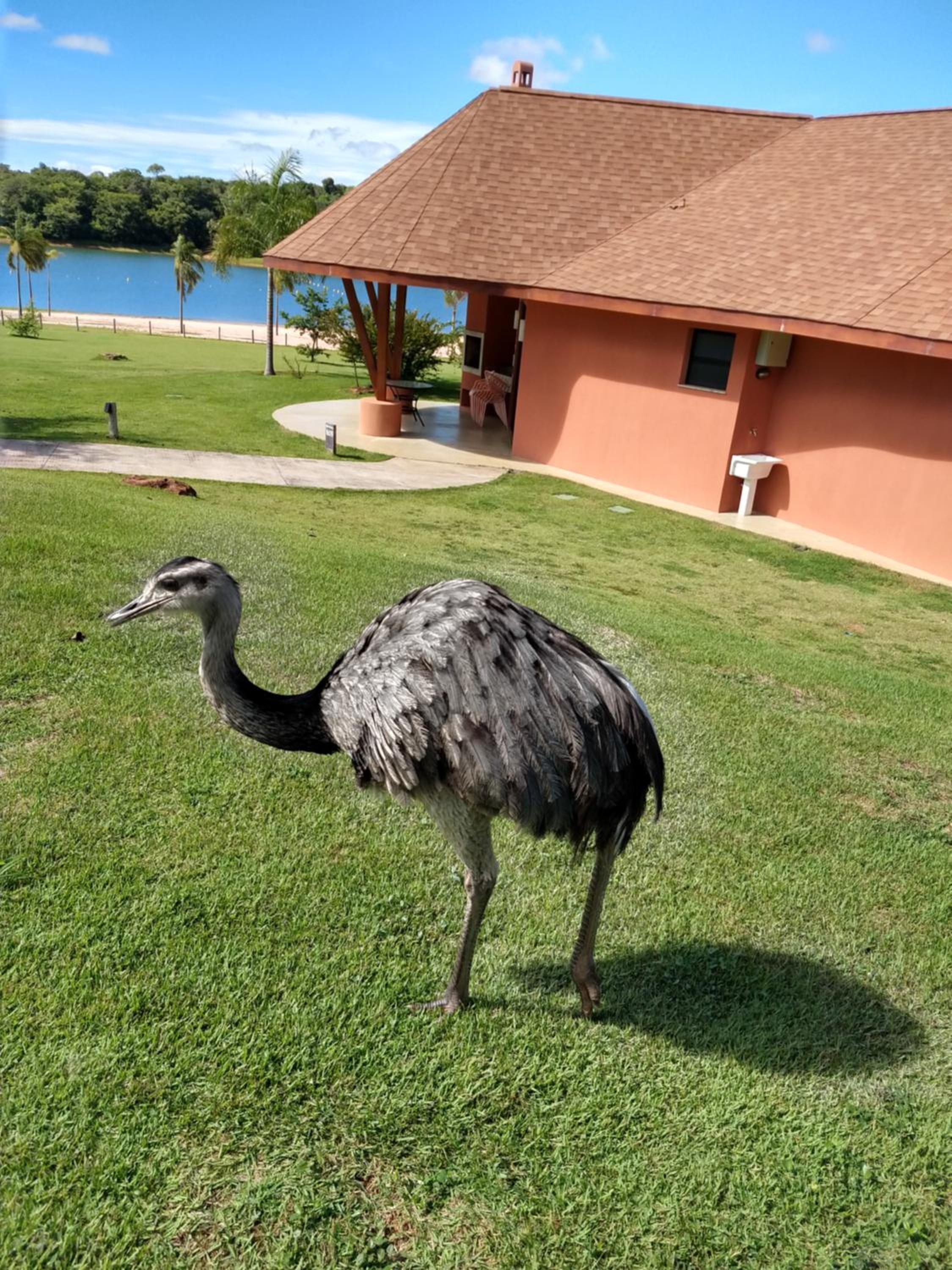 Malai Manso Cotista - Resort Acomodações 4 hosp