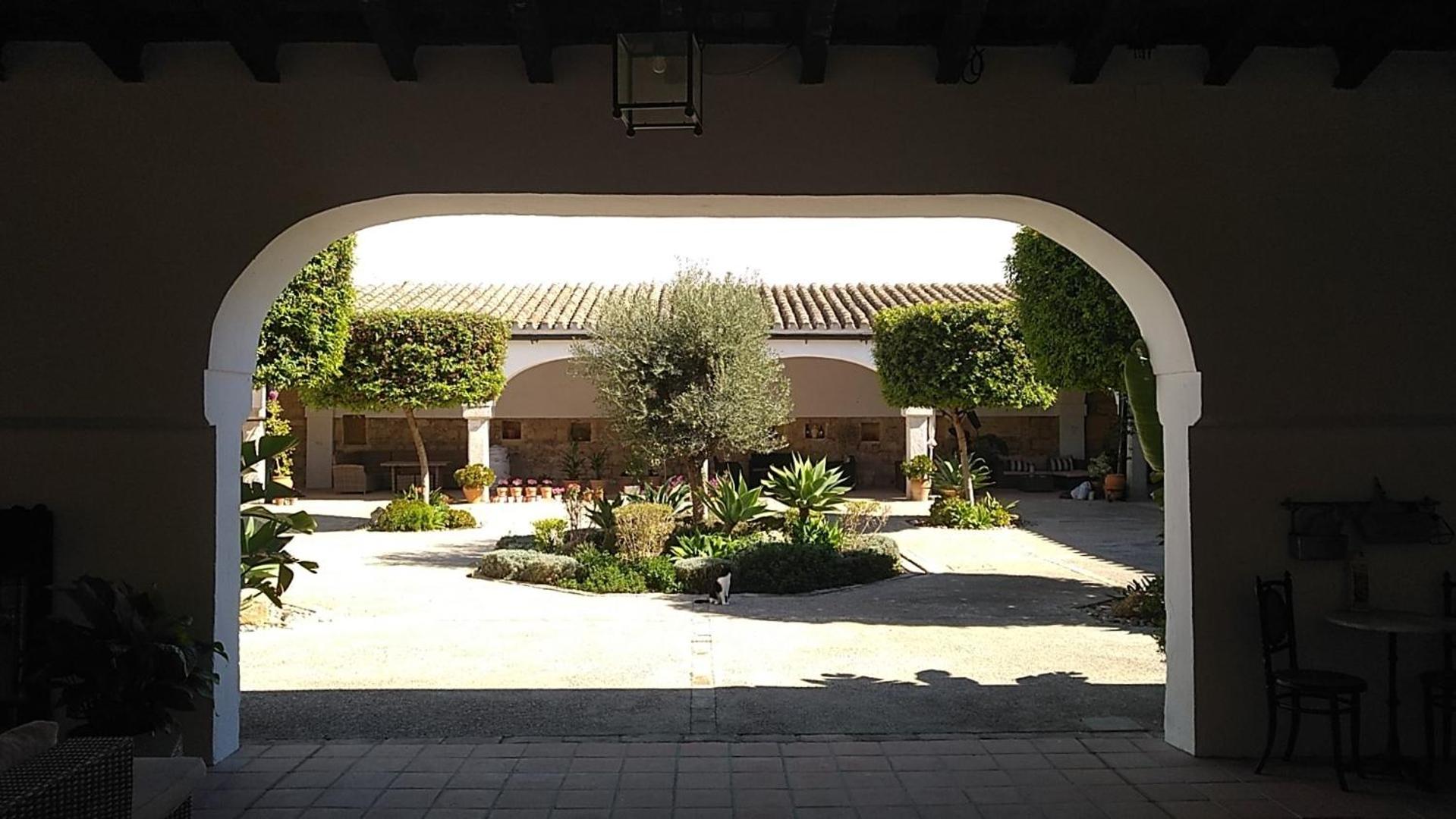 Photo 16