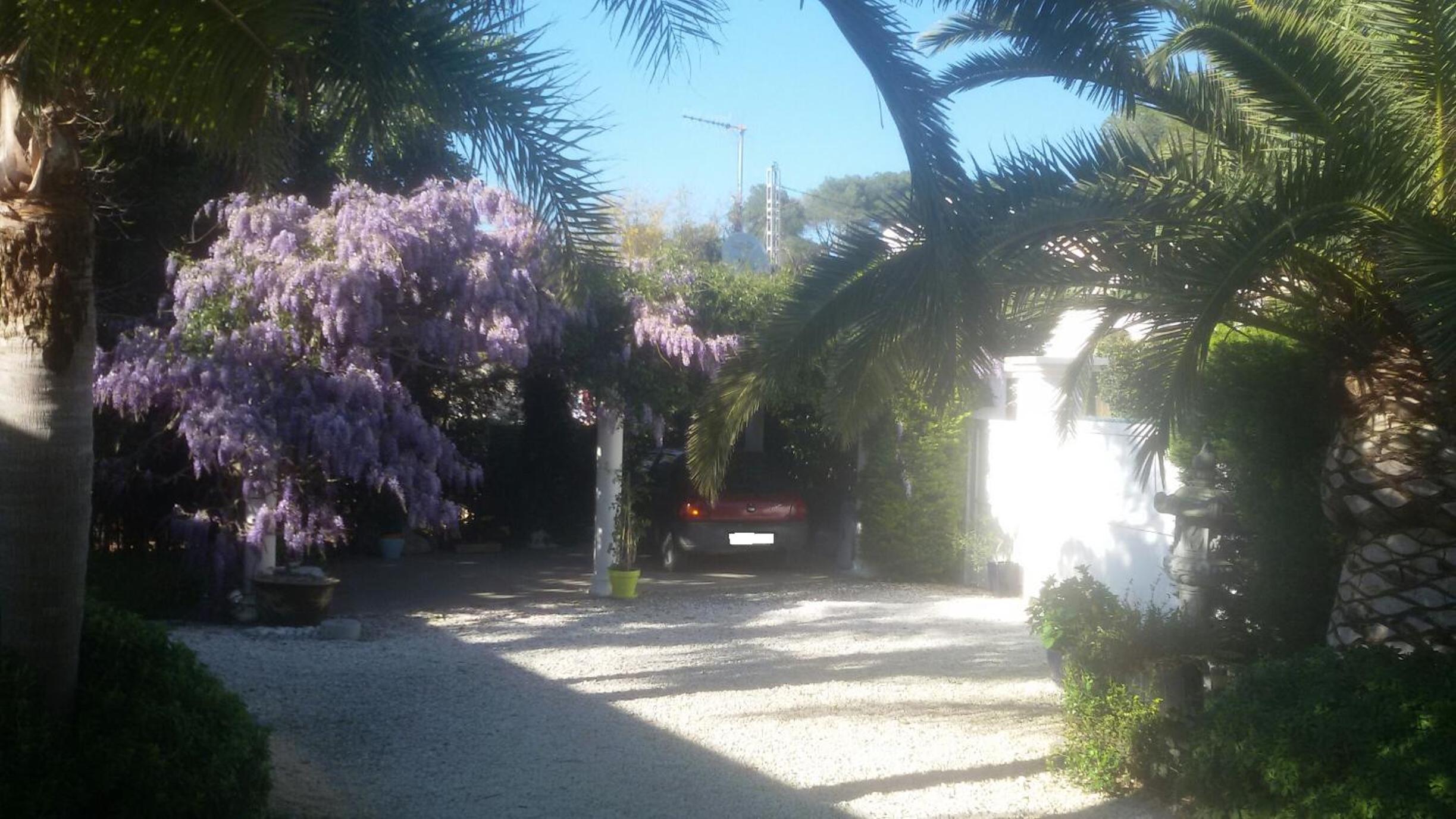 Photo 14