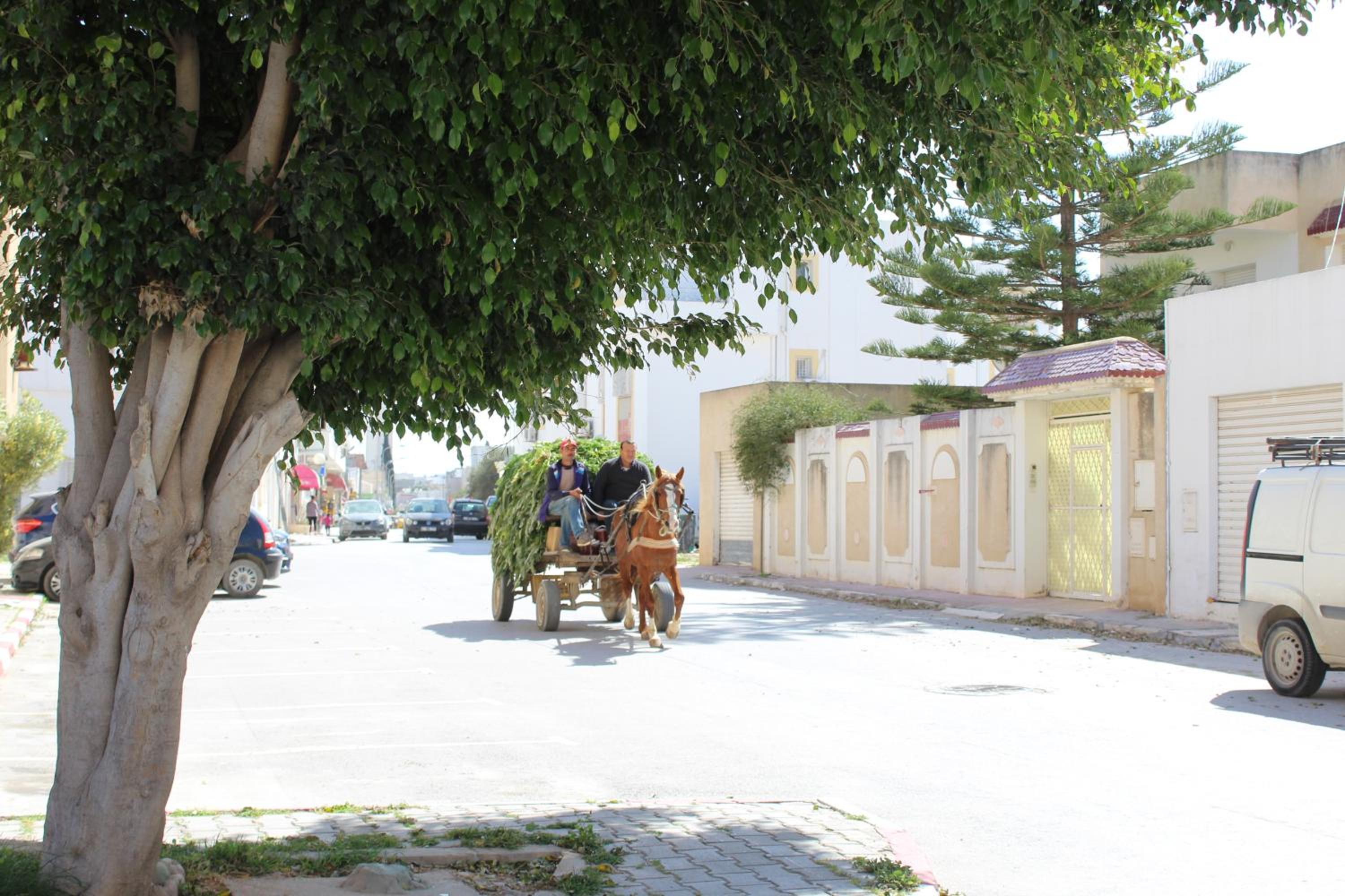 Photo 17