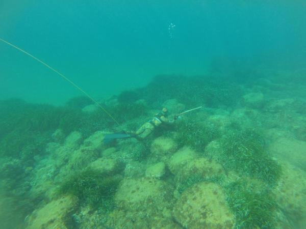 Photo 44