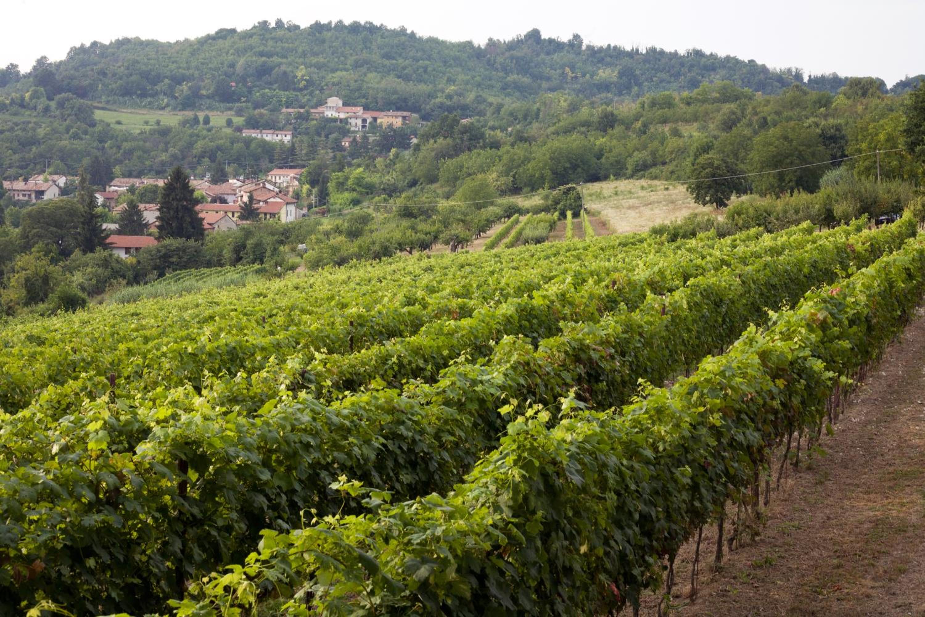 Ca' San Sebastiano Wine Resort & Spa