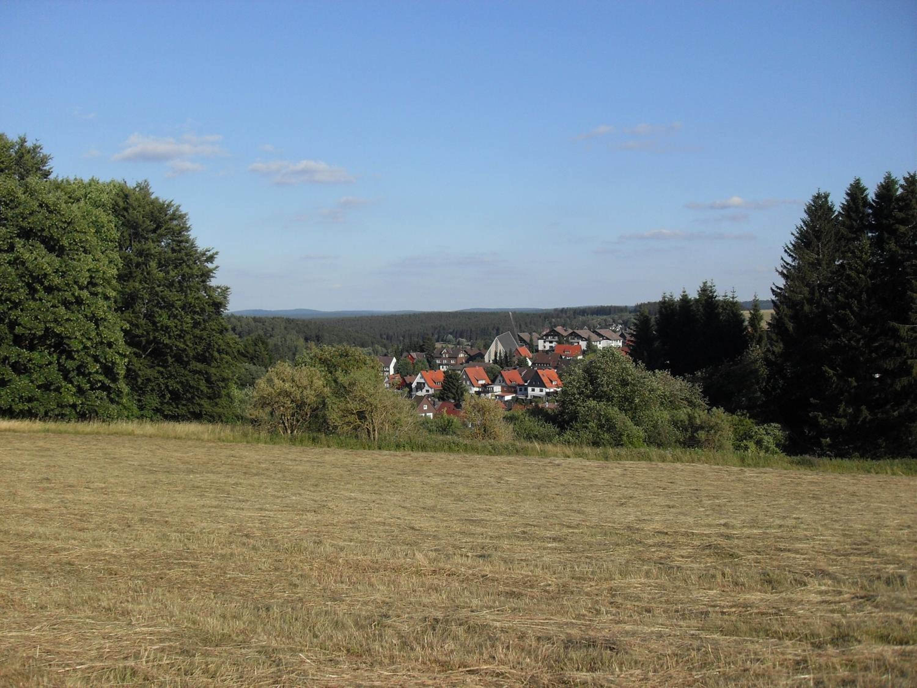 Photo 13