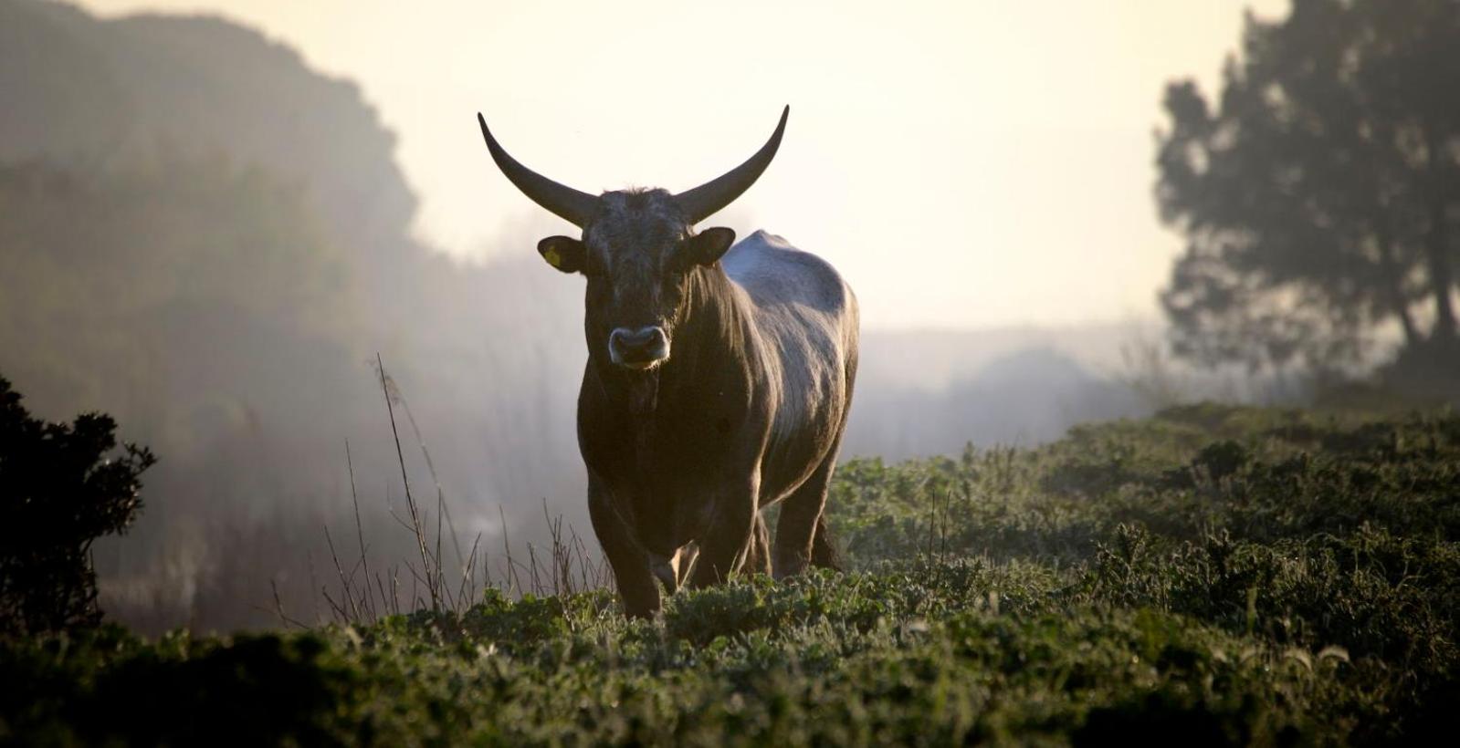 Agriturismo Redipuglia