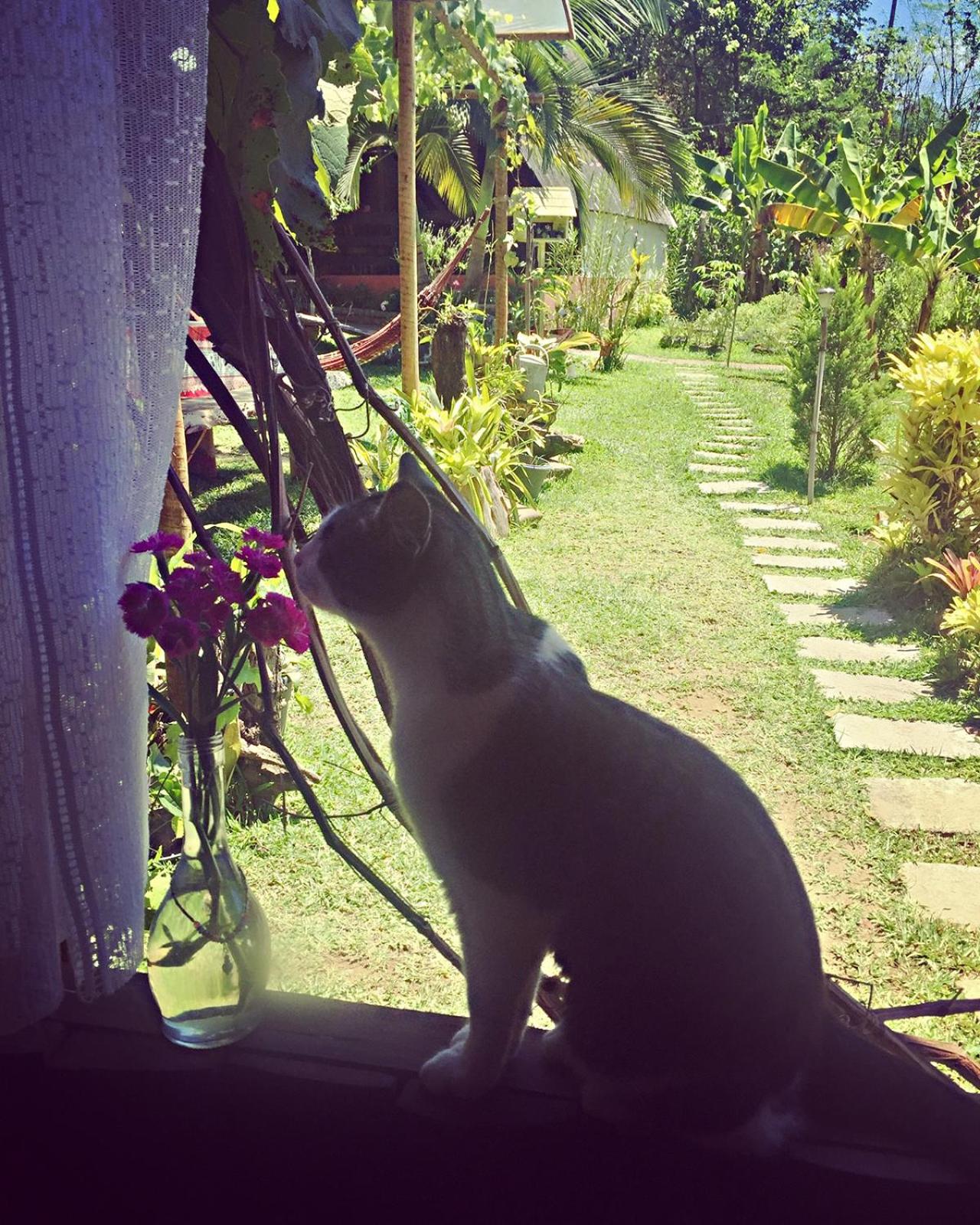 Recanto Suíço