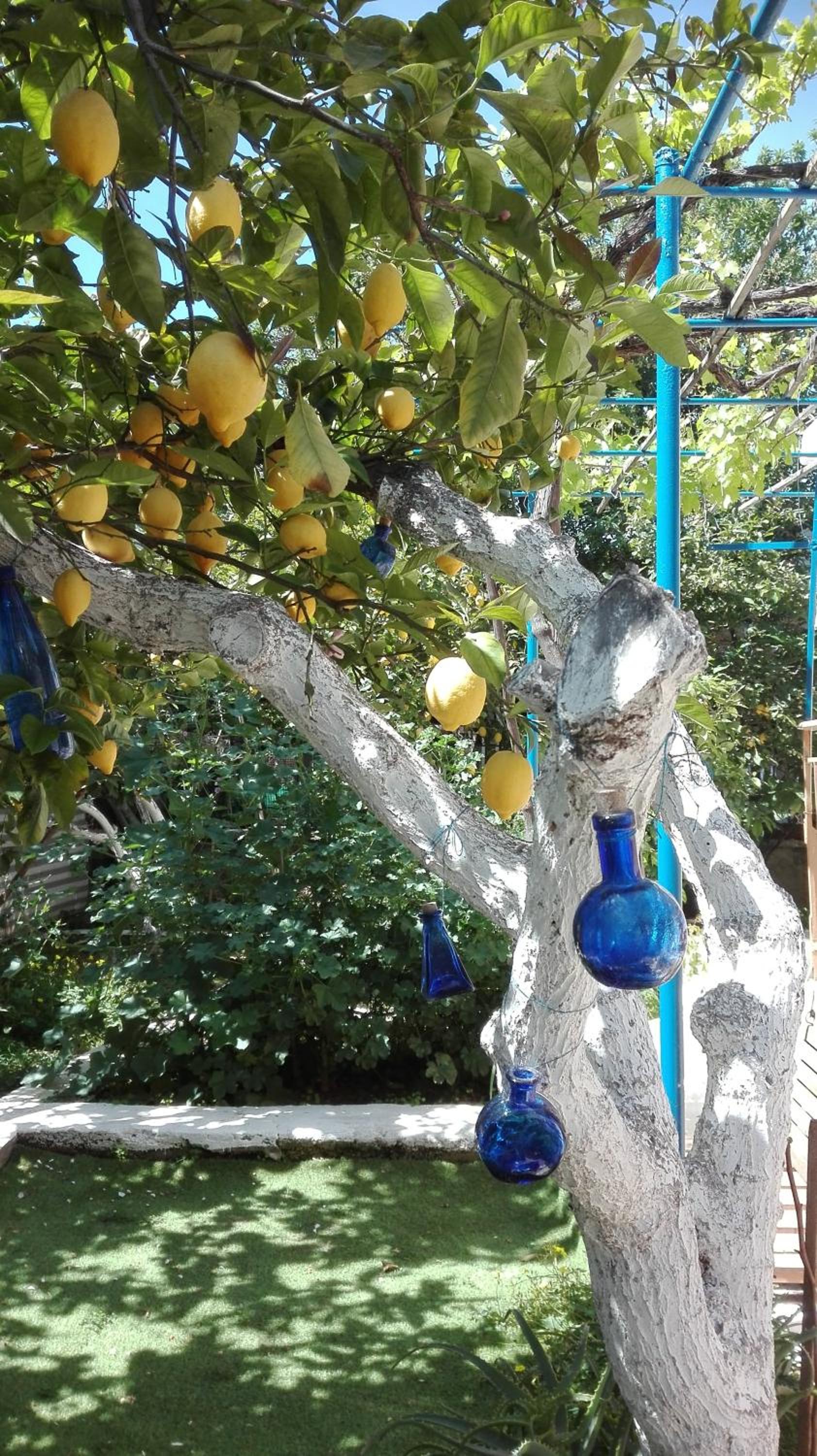 Photo 17