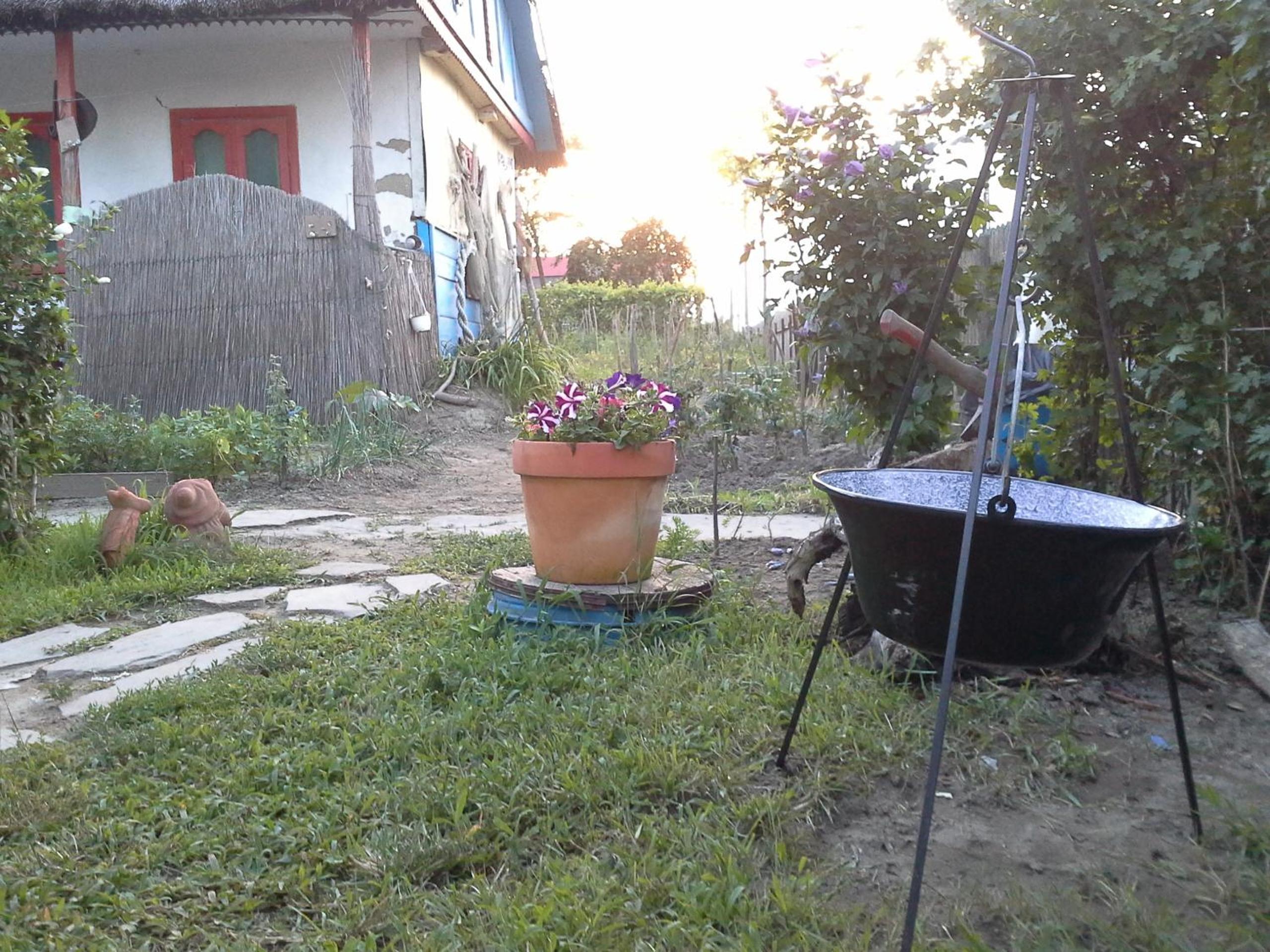 Photo 115