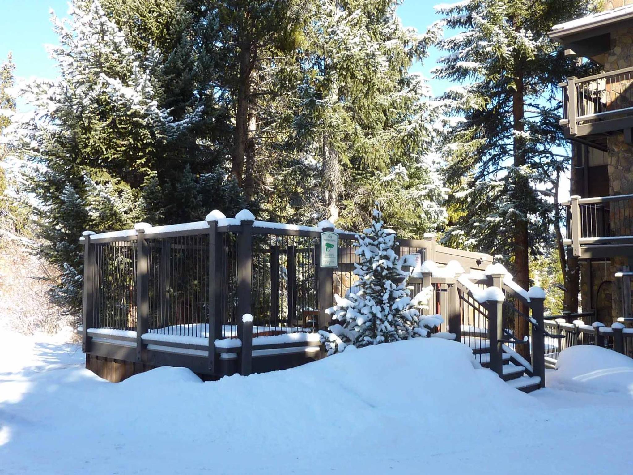 Double Eagle Roost Condo: Ski In, Walk To Main St view 3