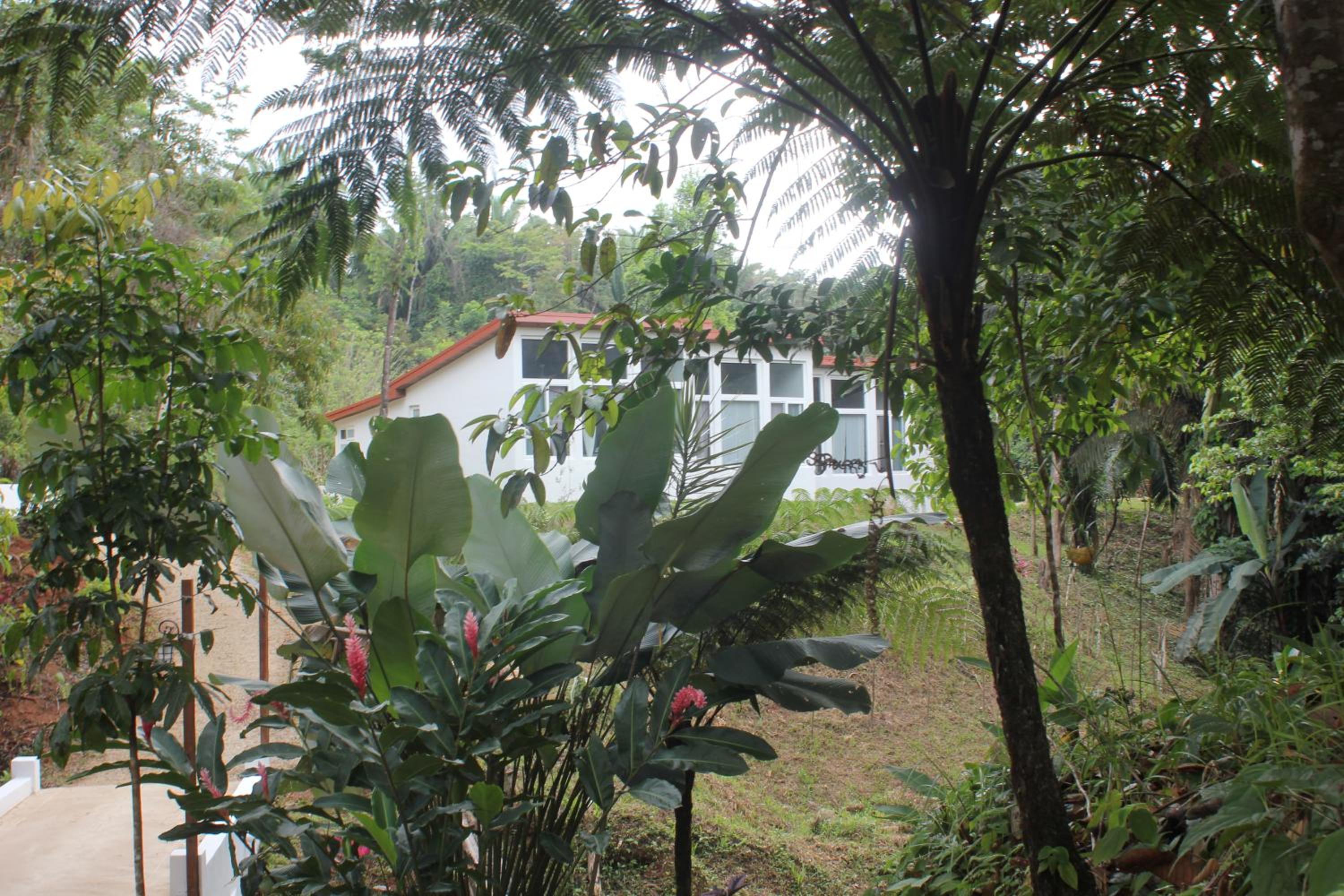 Sattva Land
