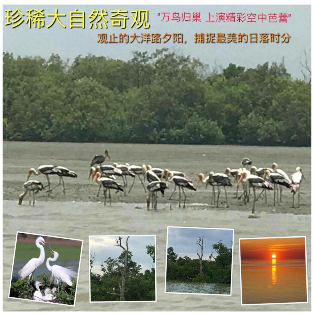 本店好民宿 photo 3