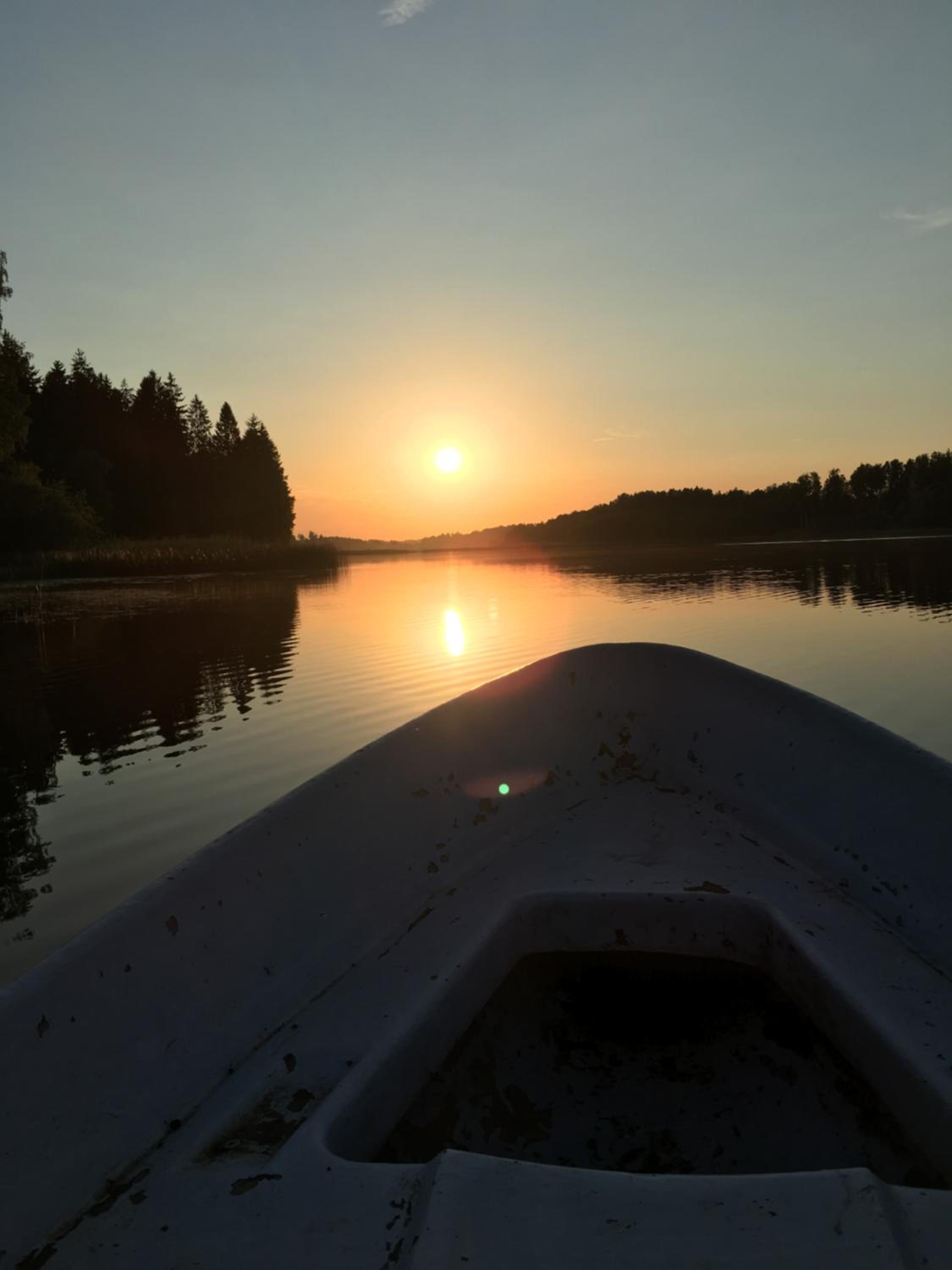Järveoru