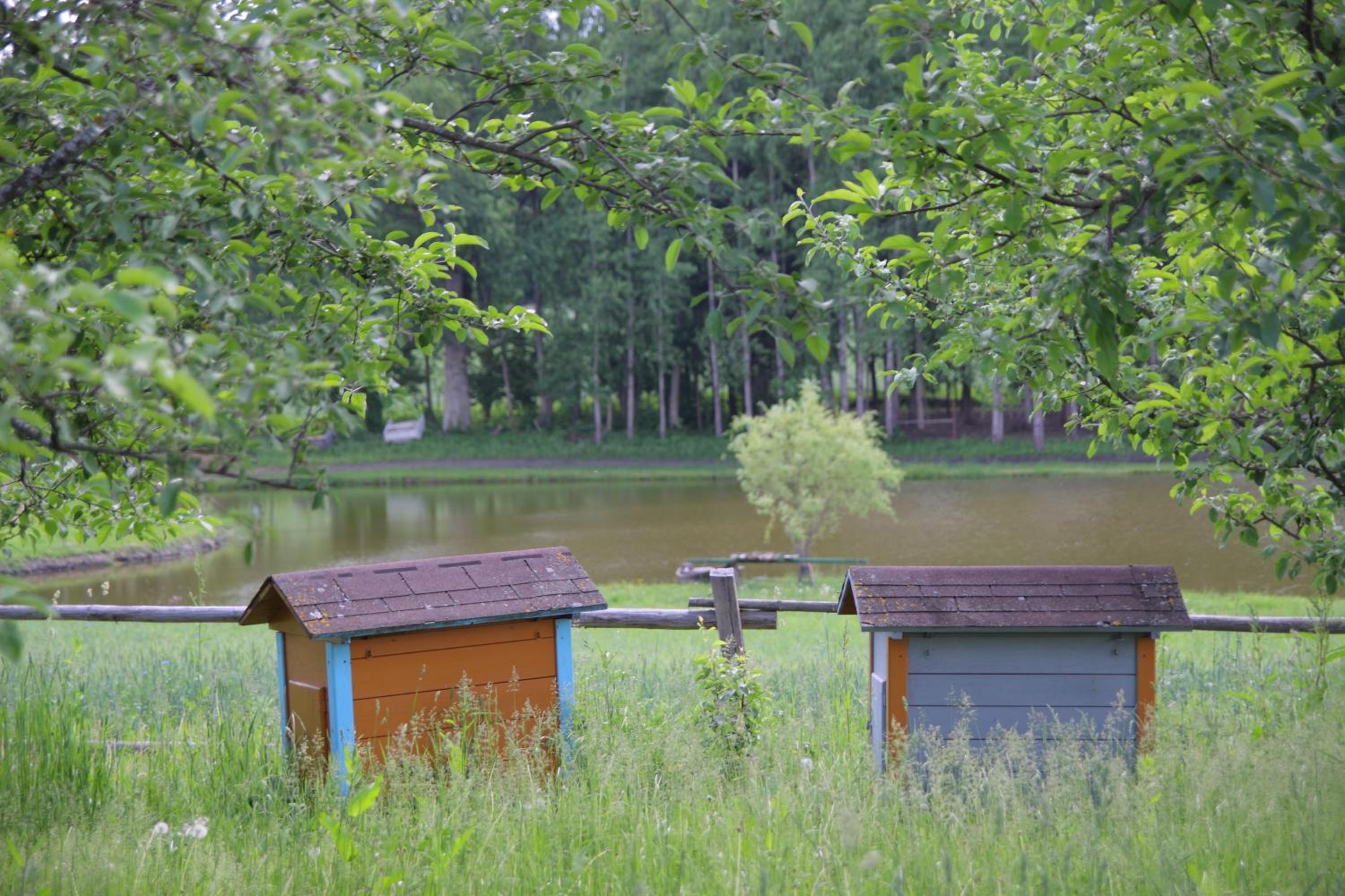 Photo 30