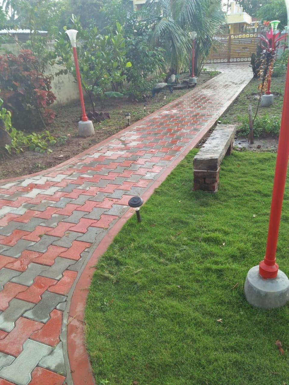 Photo 11