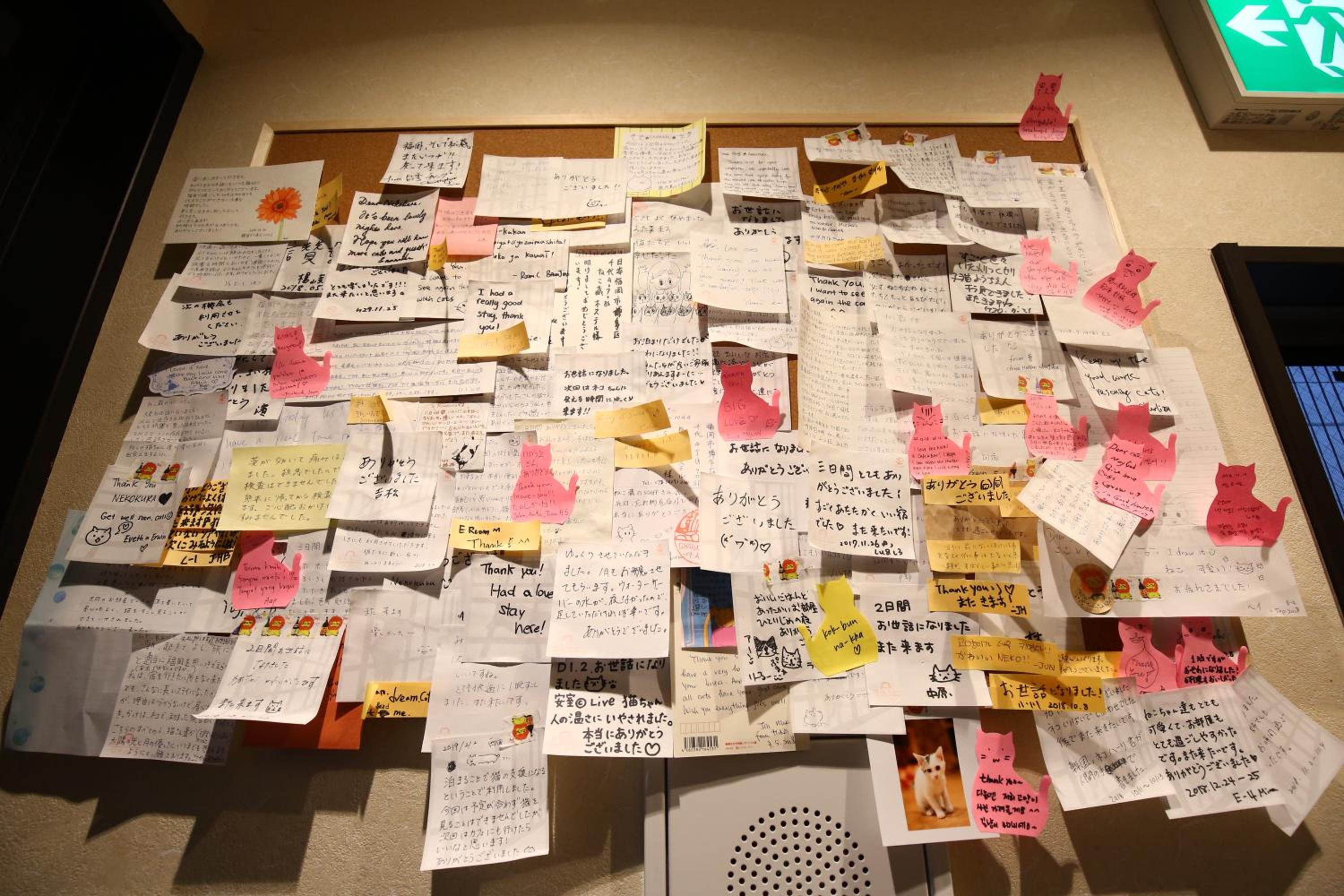 Nekokura Hostel