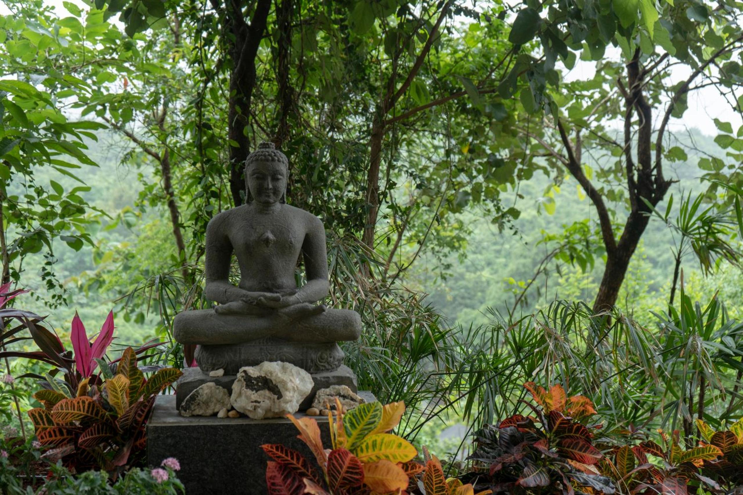 Grape County Eco Resort & Spa, Nashik Grape County Eco Resort & Spa, Nashik
