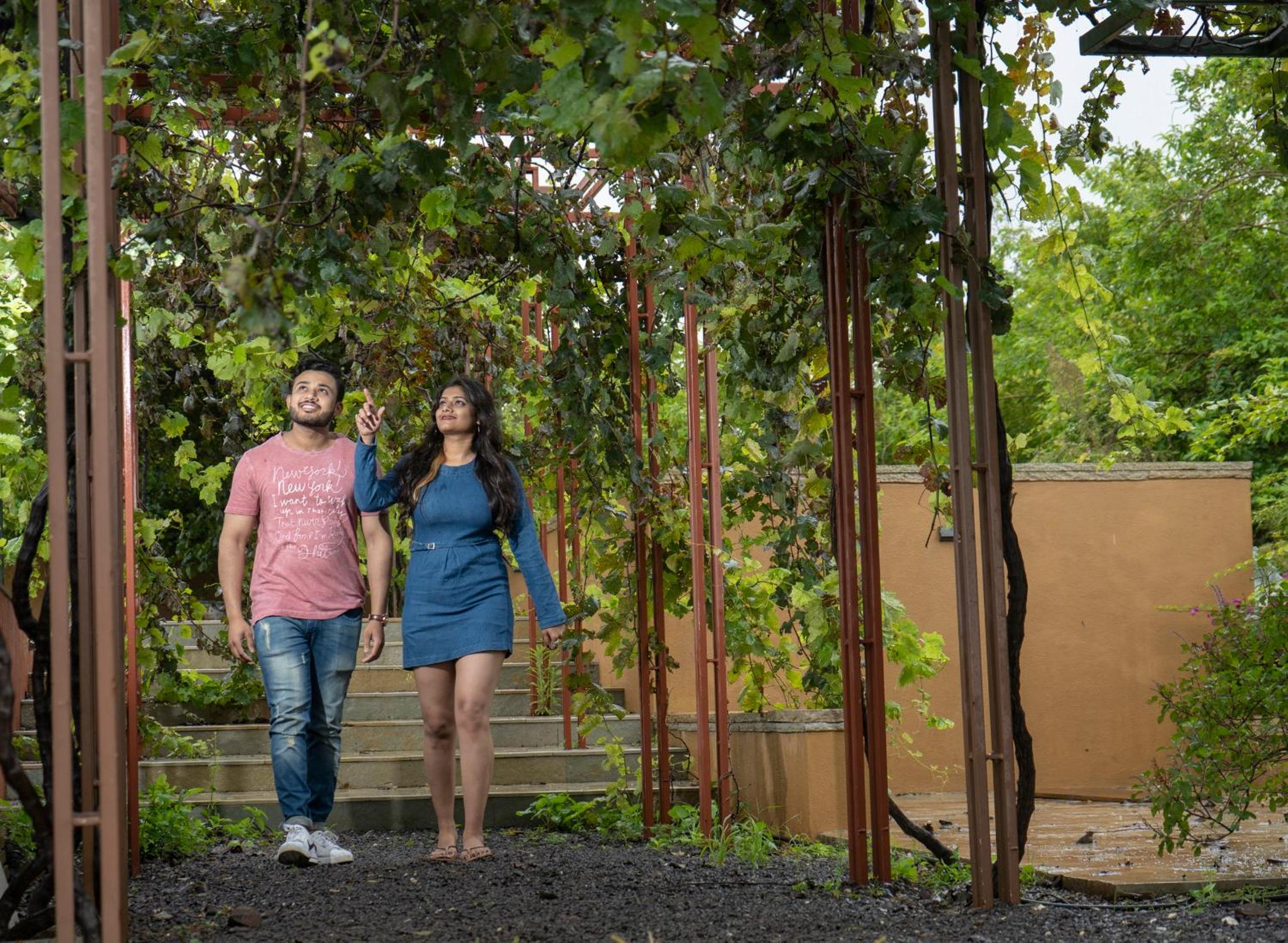 Grape County Eco Resort & Spa, Nashik Grape County Eco Resort & Spa, Nashik