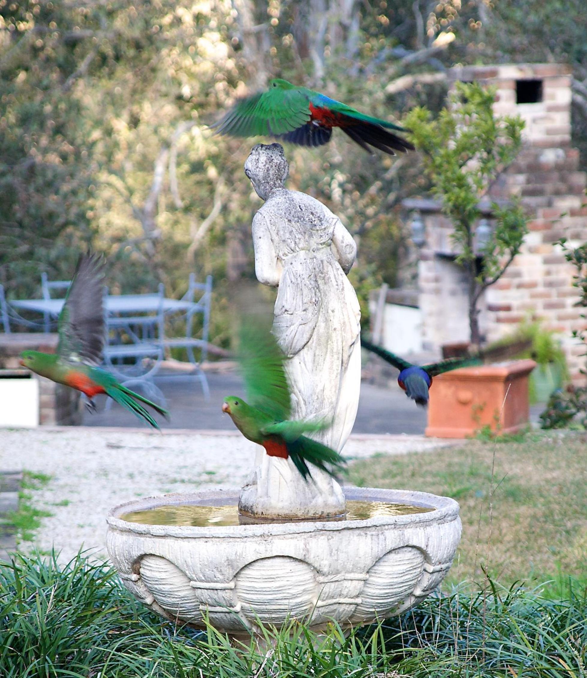 The Willows at Kurrajong