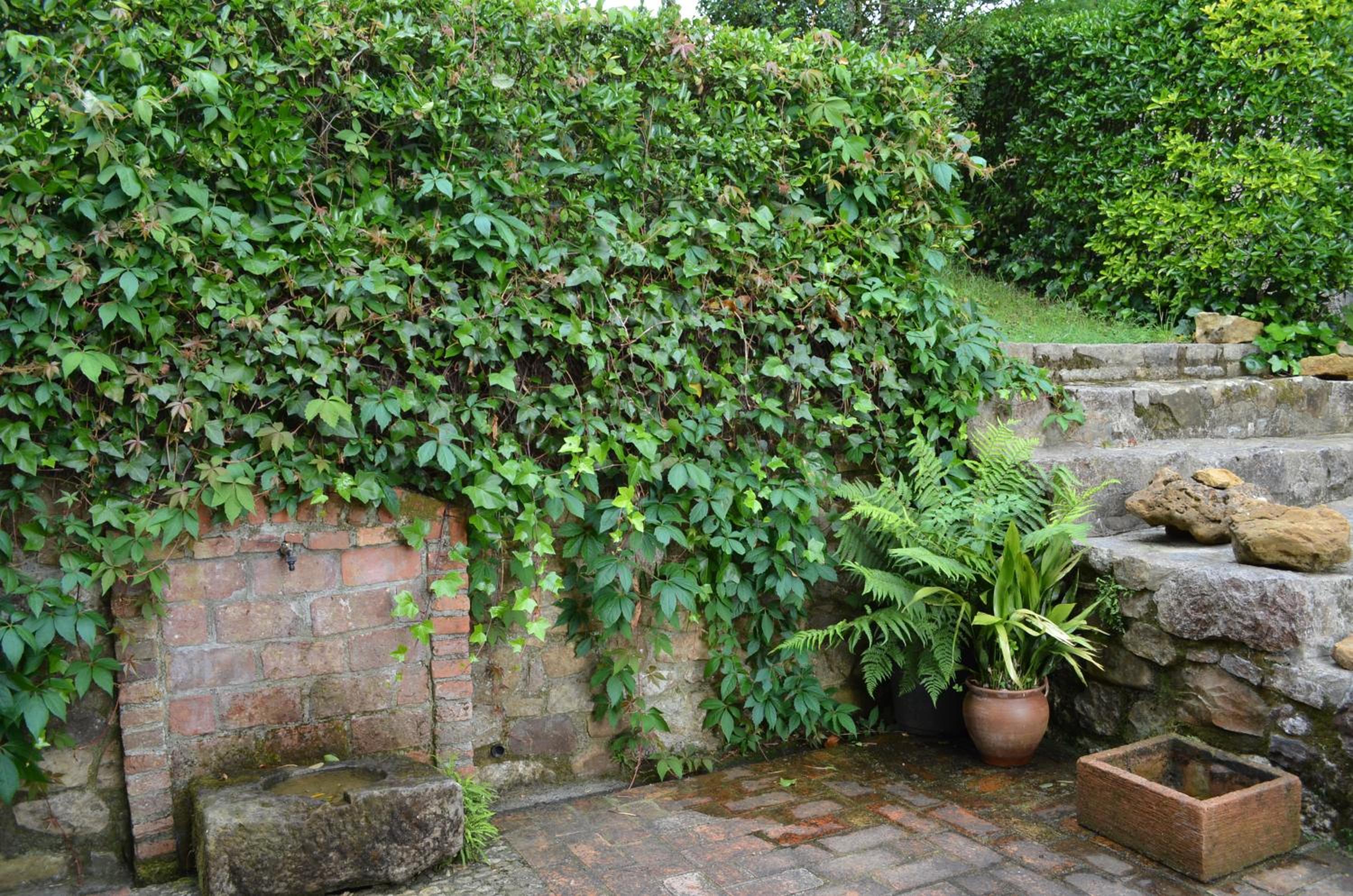 Photo 35