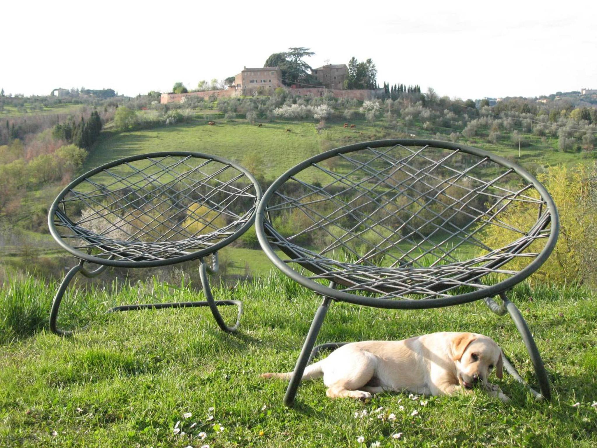 Agriturismo La Torretta