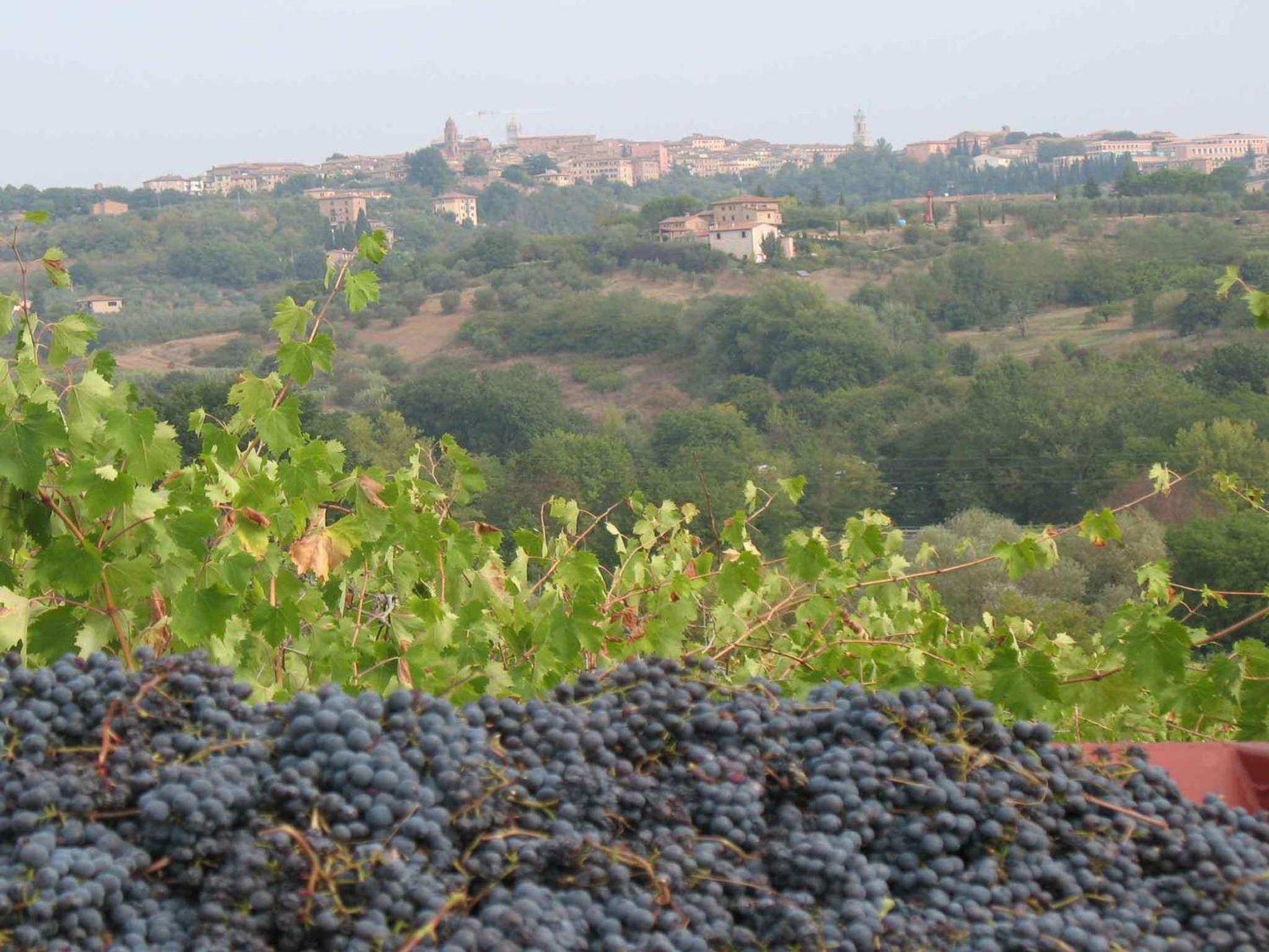 Agriturismo La Torretta